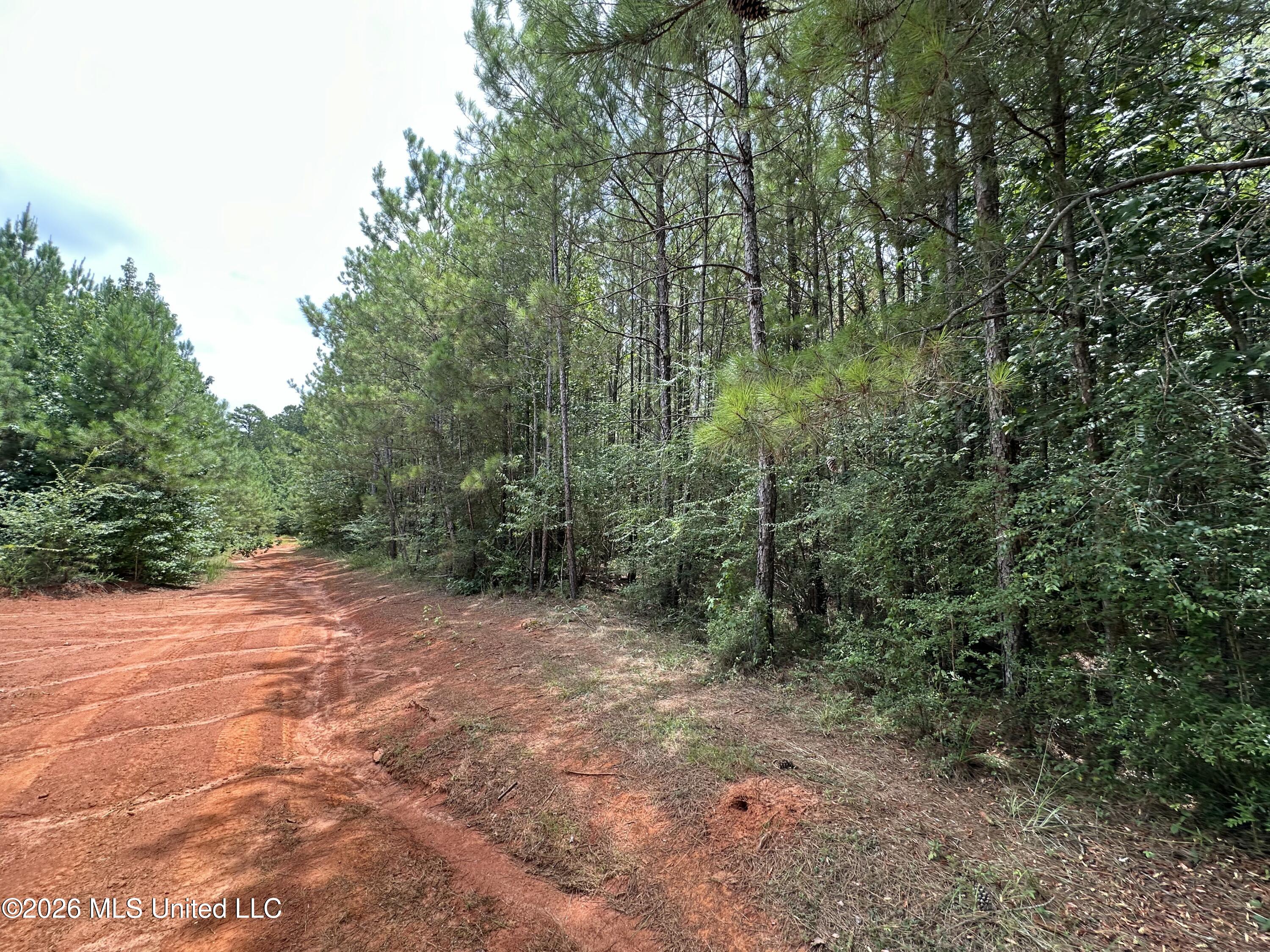 Smith County Road Property Photo 38