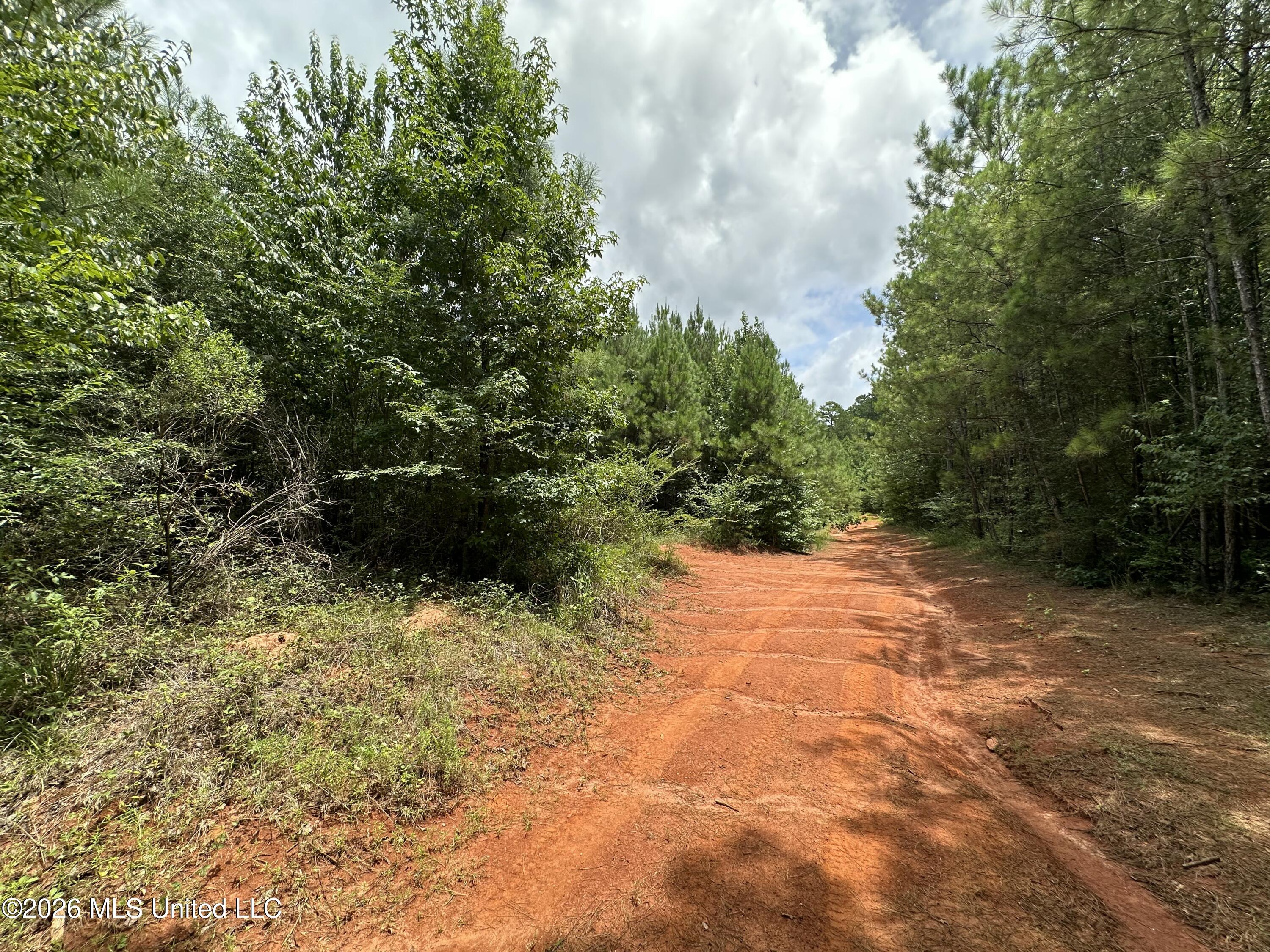 Smith County Road Property Photo 39