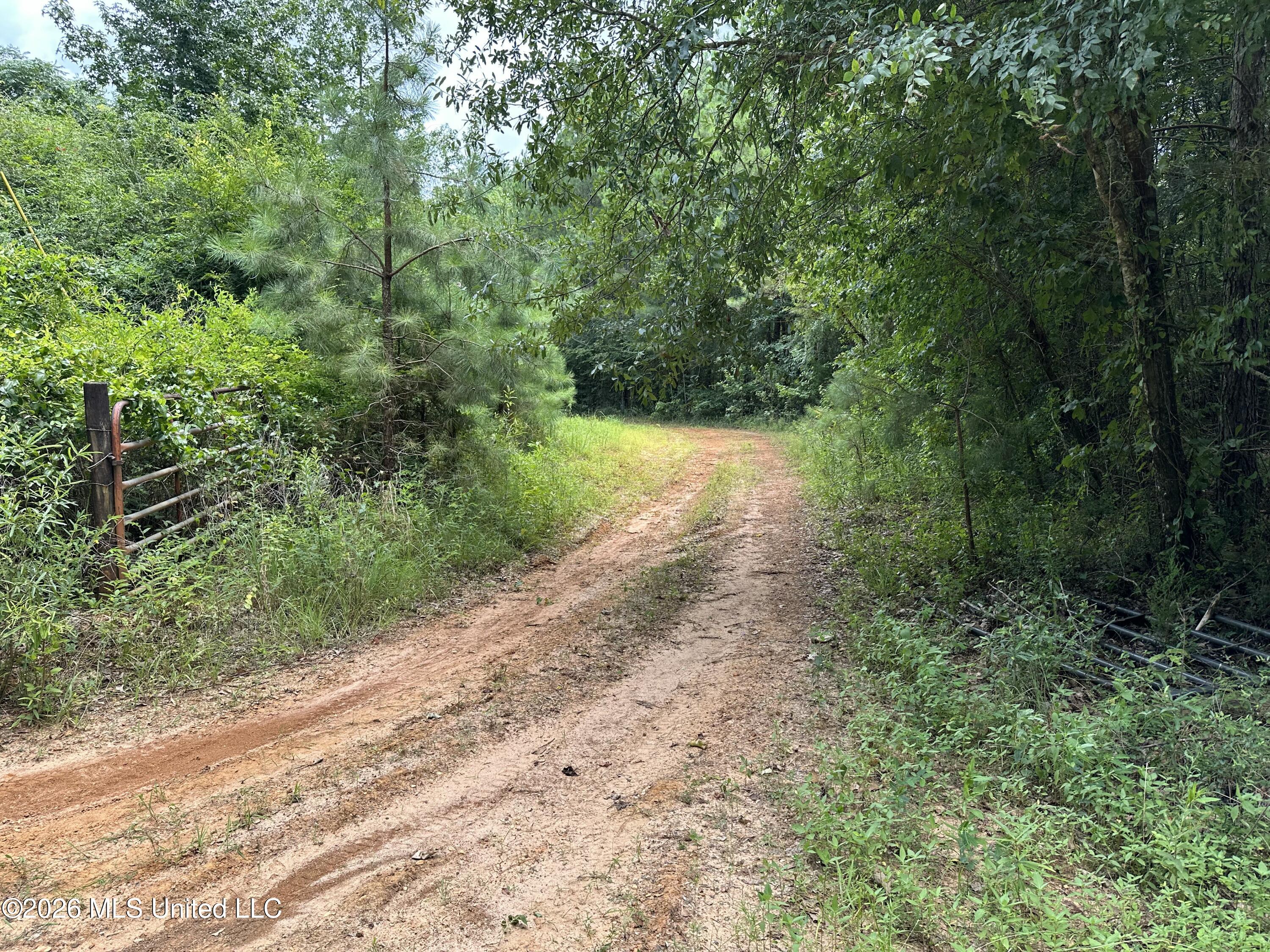 Smith County Road Property Photo 41