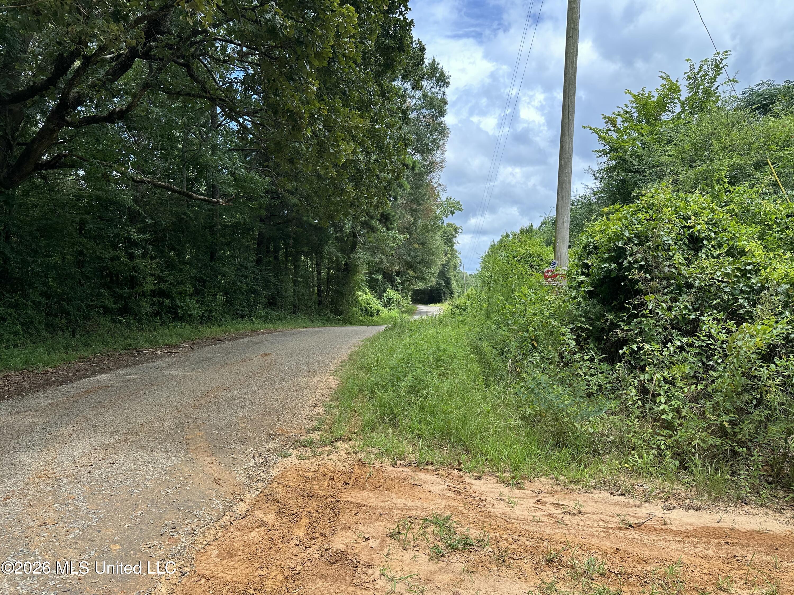Smith County Road Property Photo 42
