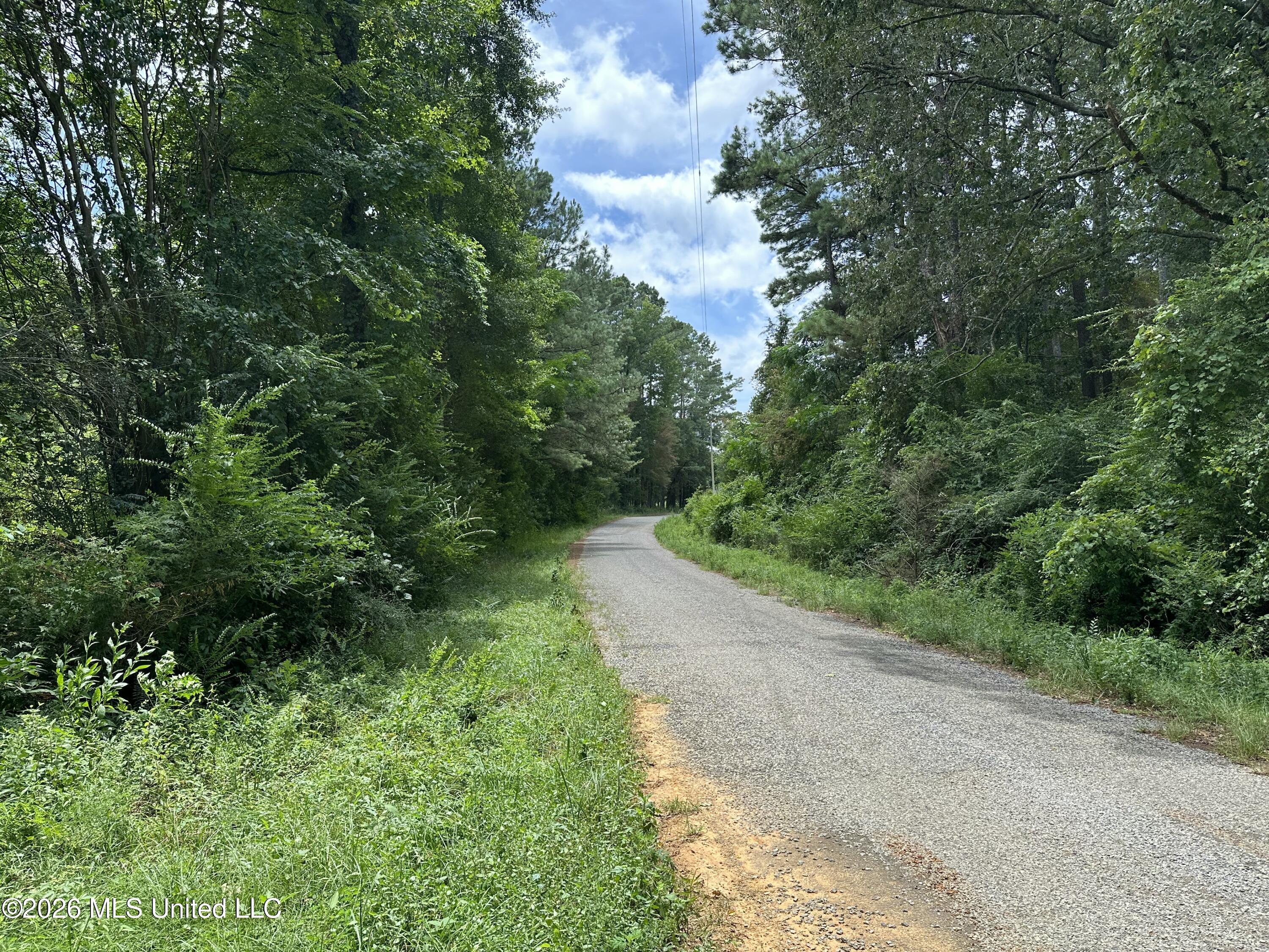 Smith County Road Property Photo 43