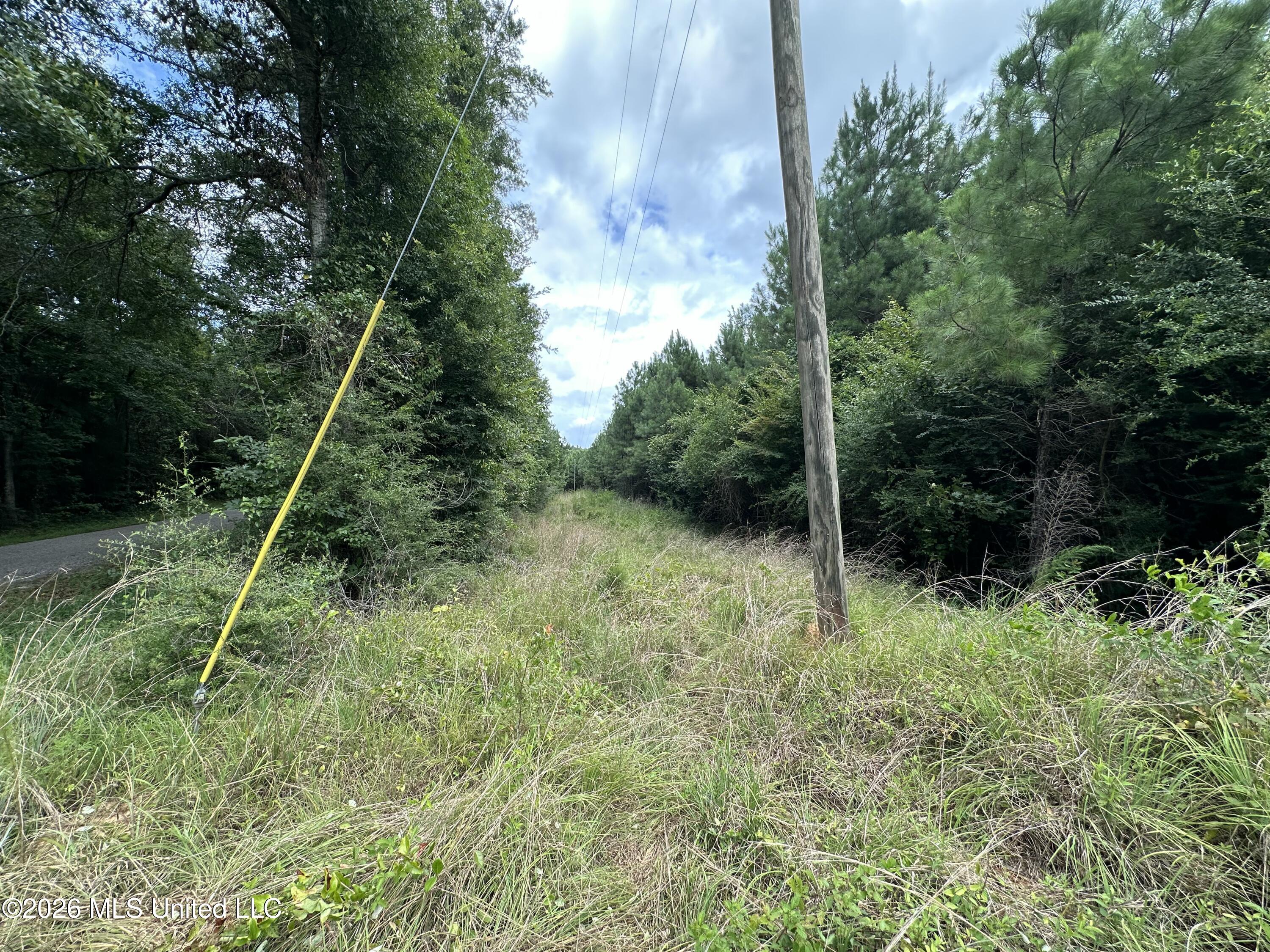 Smith County Road Property Photo 44