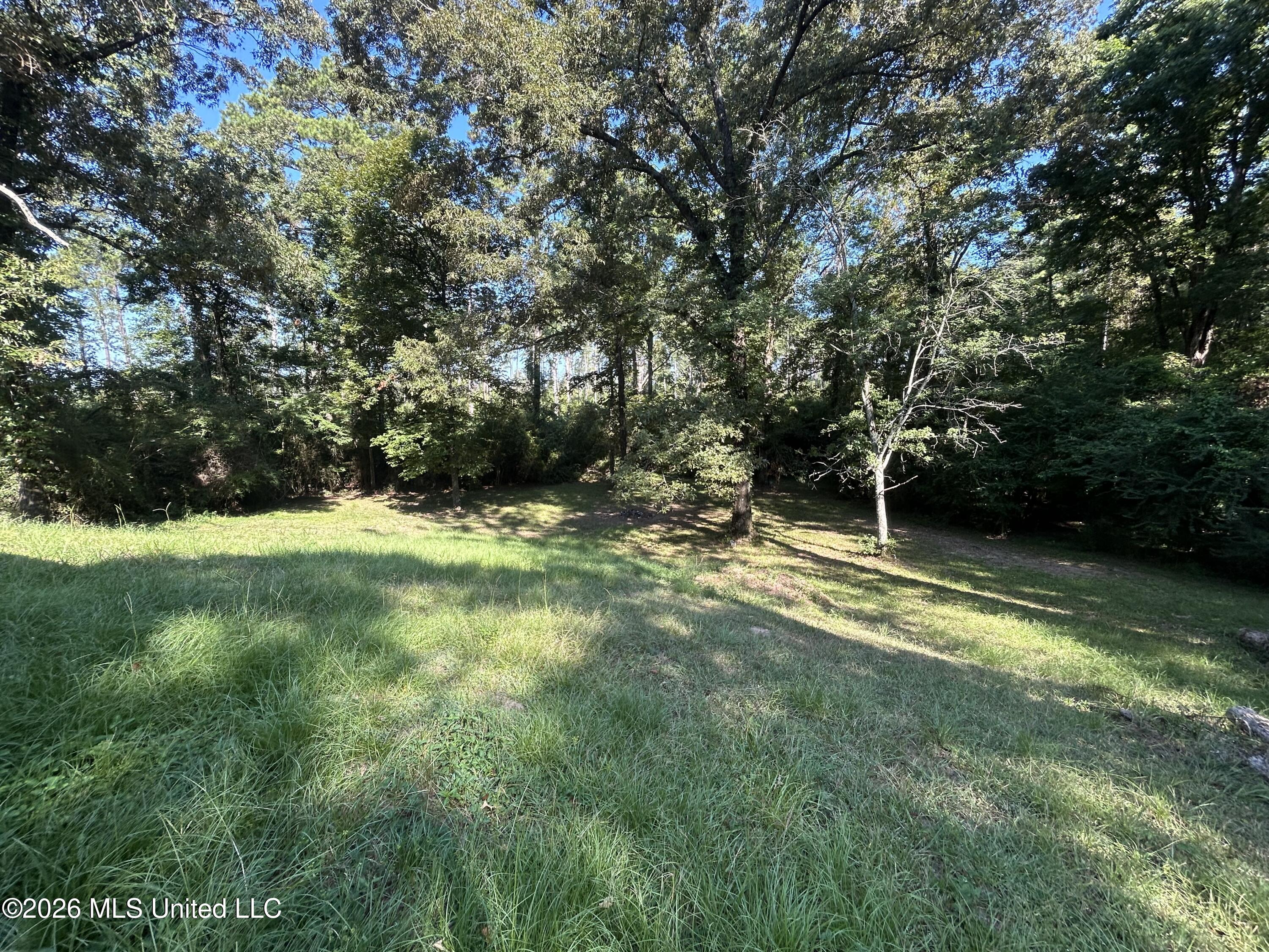 724 Mt Zion Road Property Photo 27