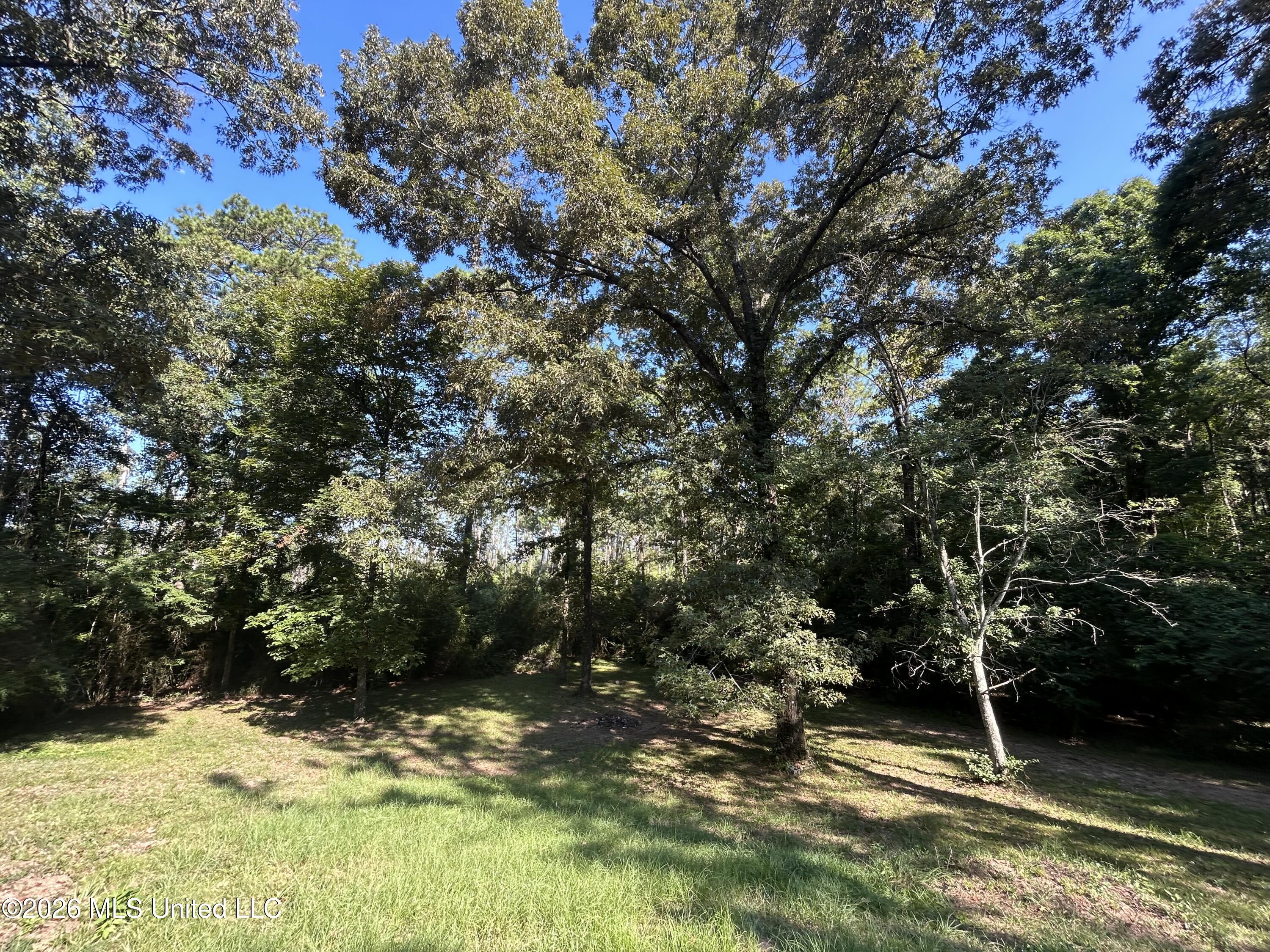 724 Mt Zion Road Property Photo 28