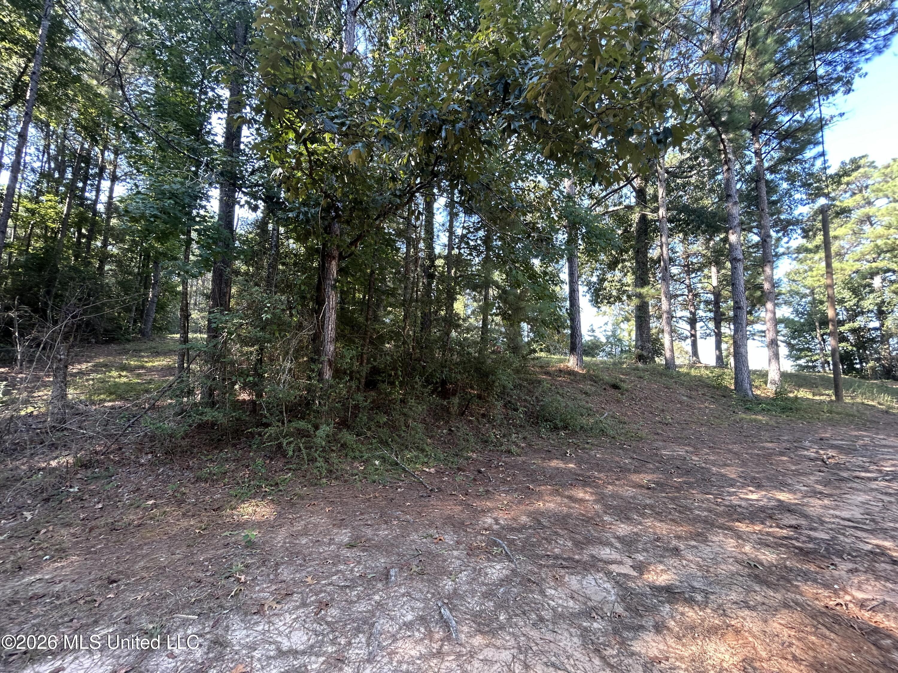 724 Mt Zion Road Property Photo 29