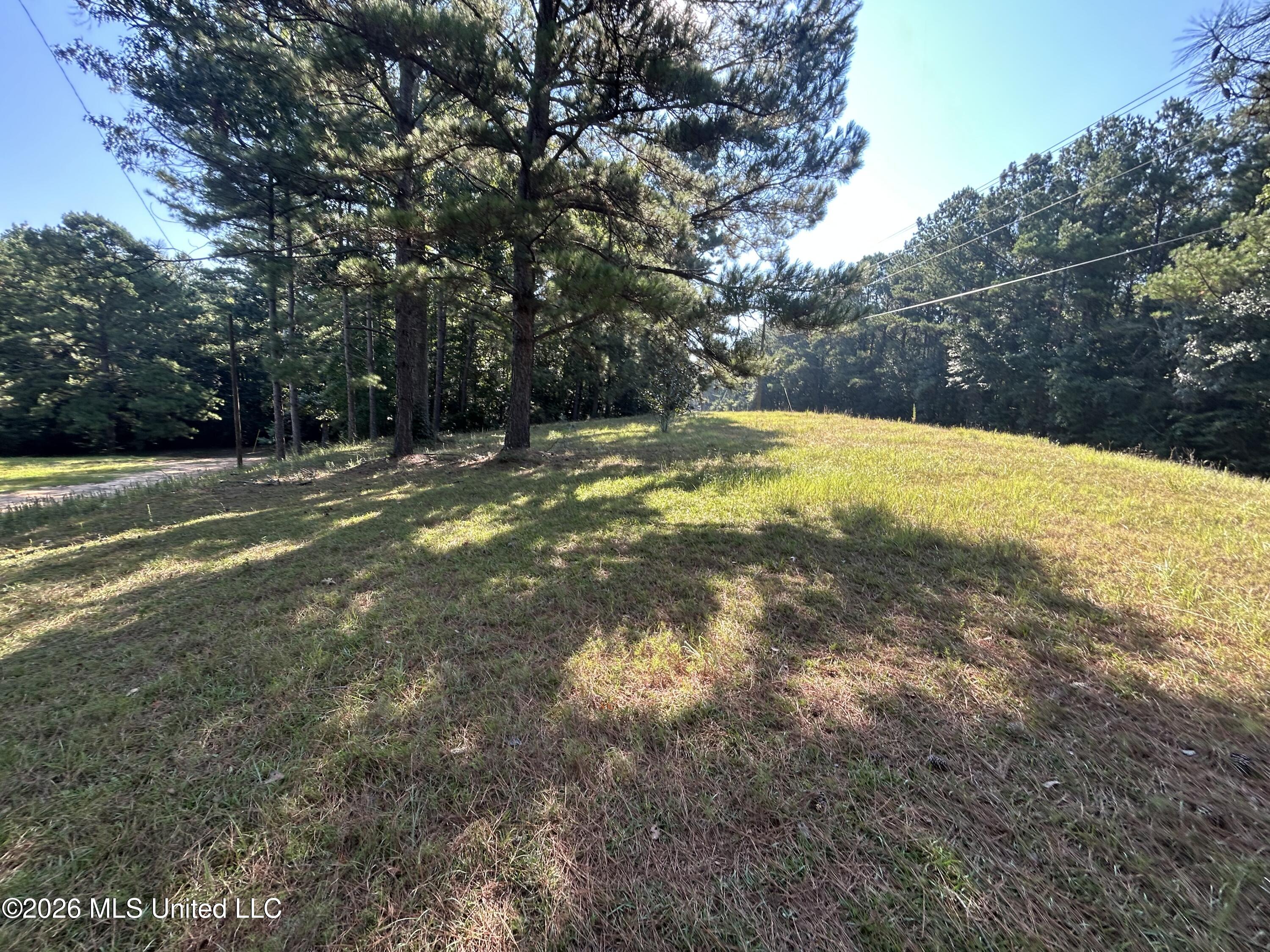 724 Mt Zion Road Property Photo 31