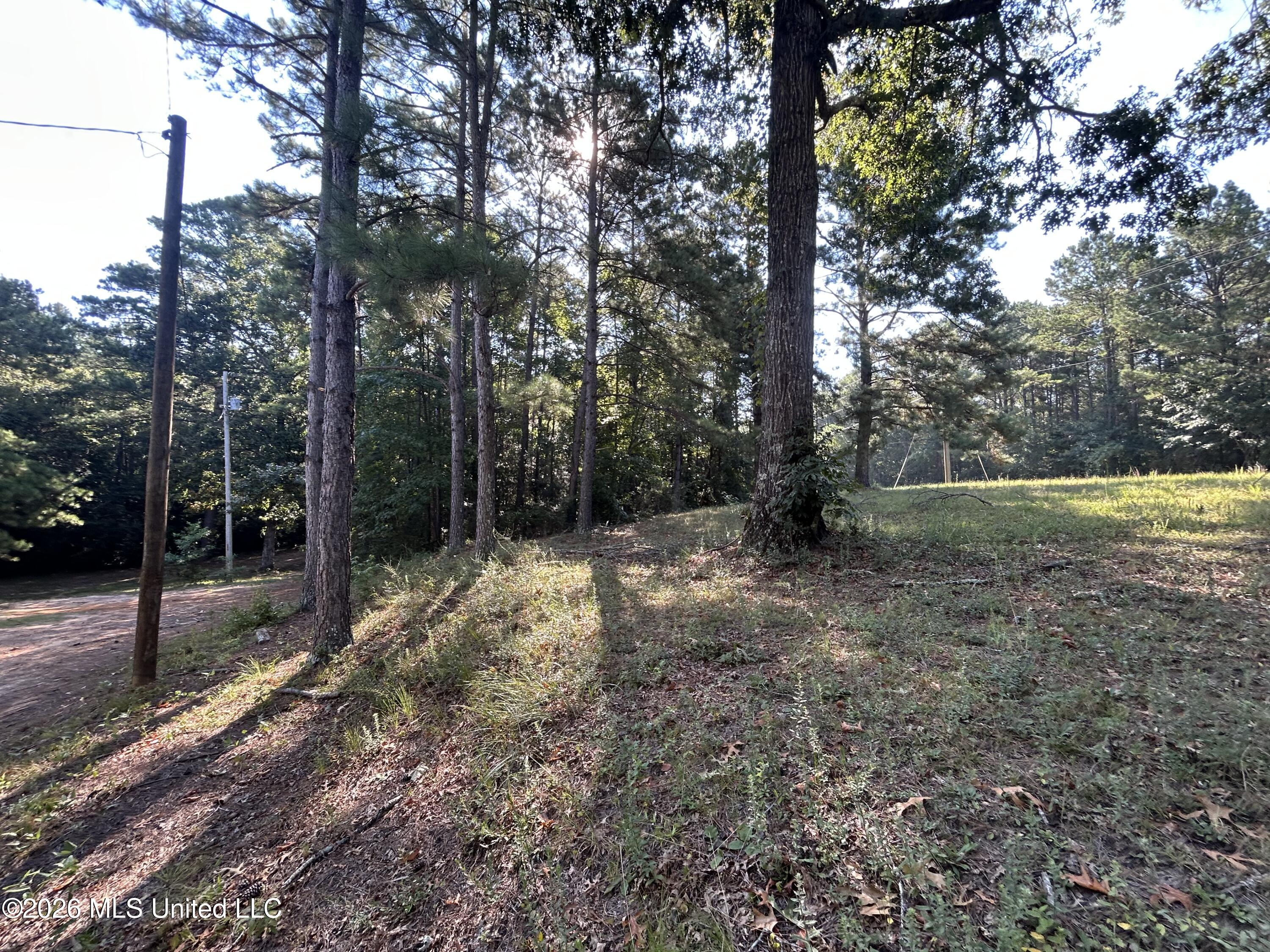 724 Mt Zion Road Property Photo 32