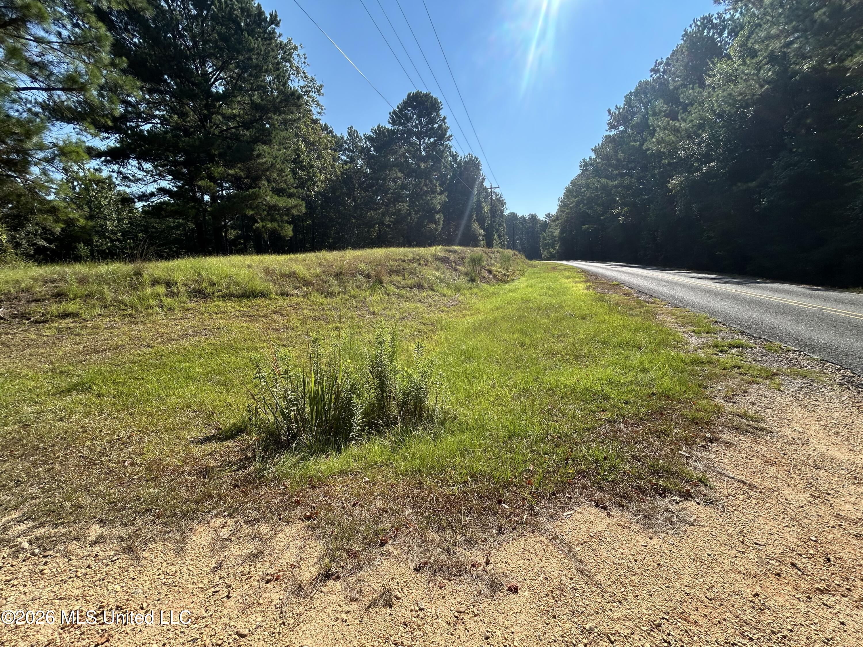 724 Mt Zion Road Property Photo 34