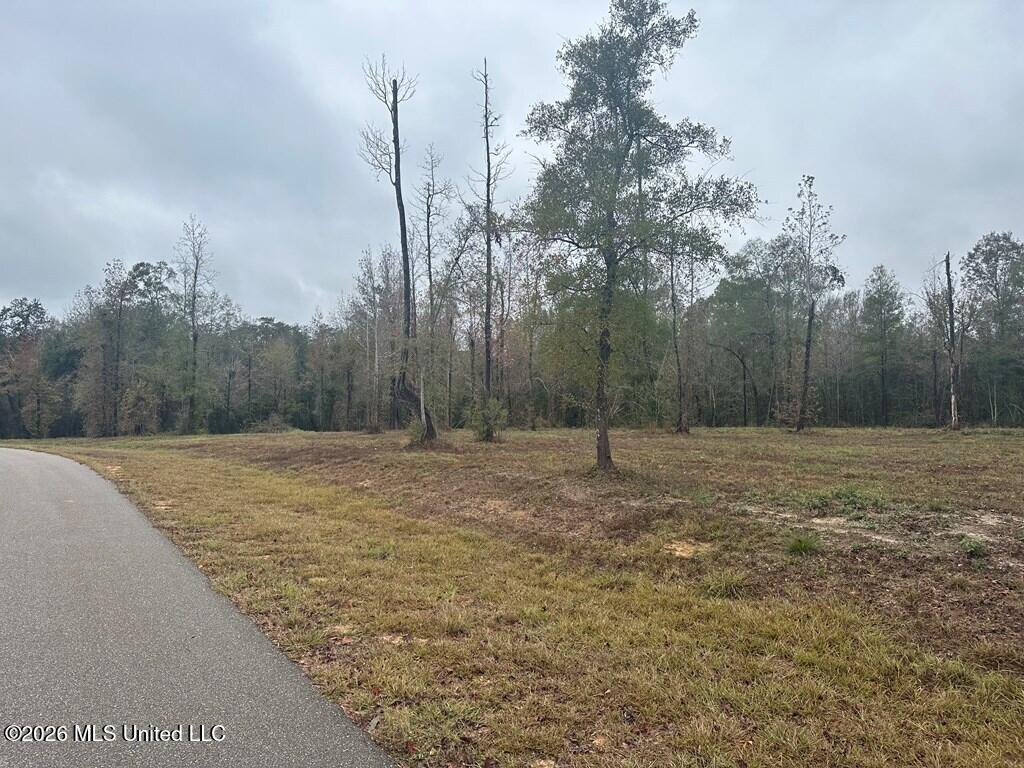 Lot 9 Bent Creek Property Photo 3