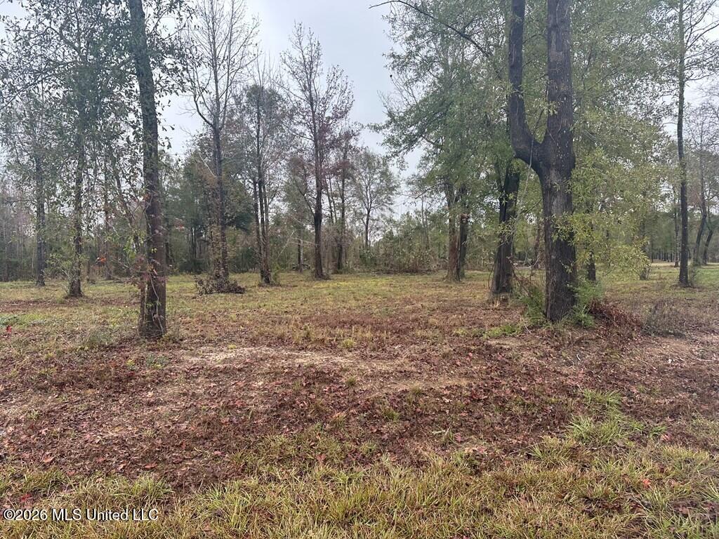 Lot 9 Bent Creek Property Photo 4