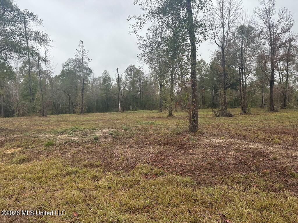Lot 9 Bent Creek Property Photo 5