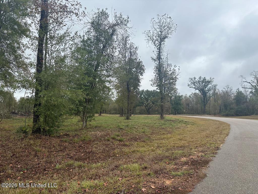 Lot 9 Bent Creek Property Photo 6
