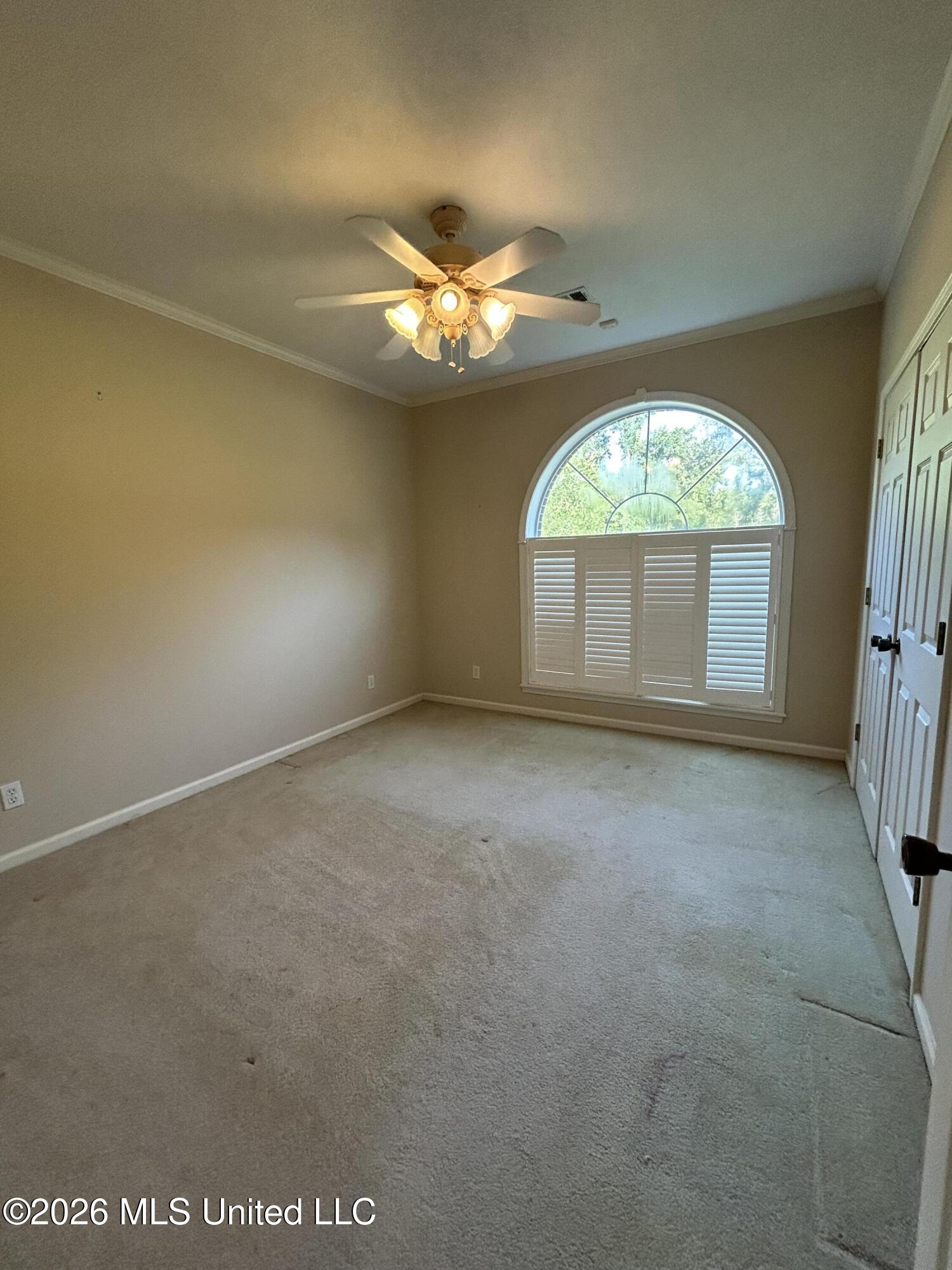 195 County Road 370 Property Photo 23