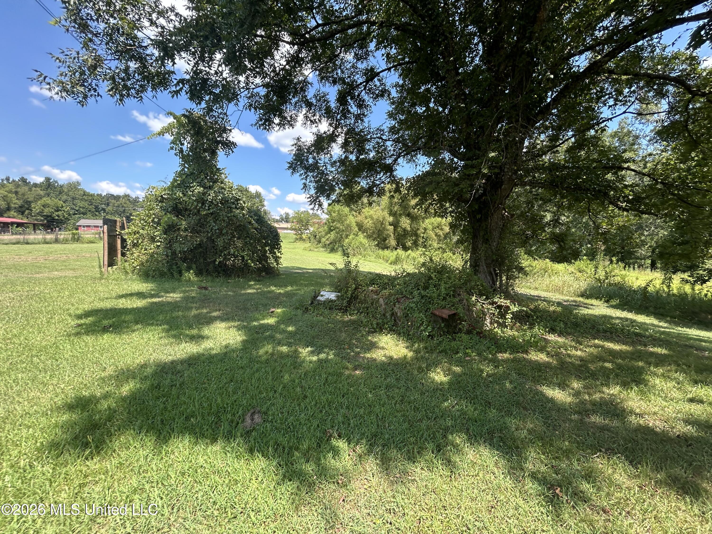 Greensboro Street Property Photo 40