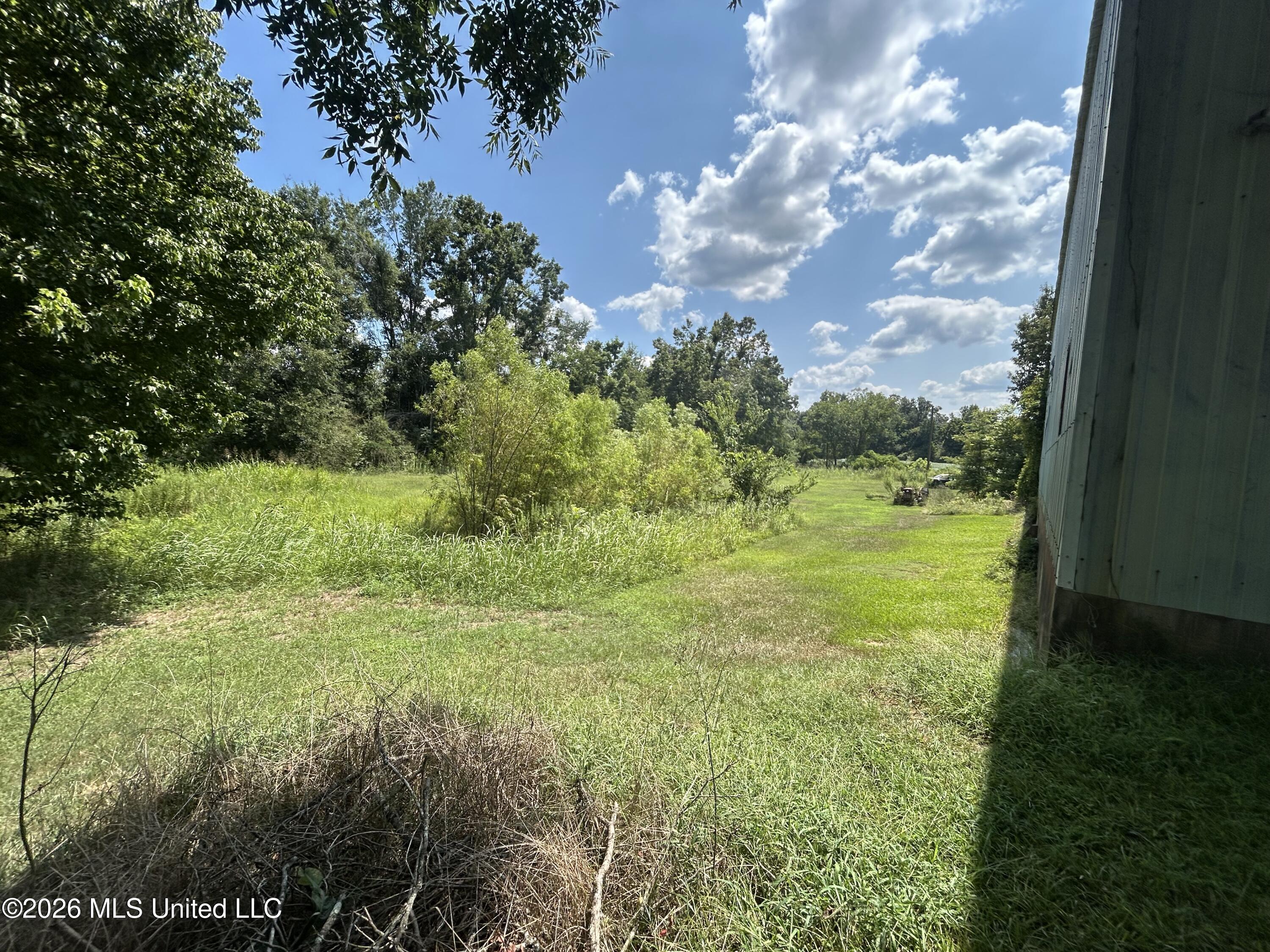 Greensboro Street Property Photo 41