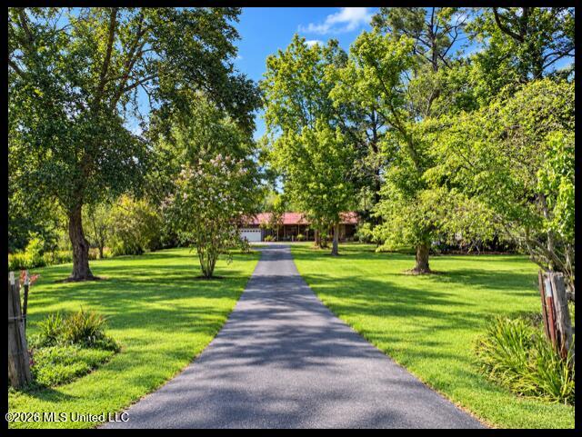 979 Snow Lake Drive Property Photo 3