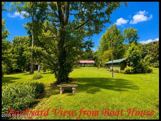 979 Snow Lake Drive Property Photo 12