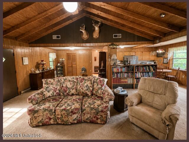 979 Snow Lake Drive Property Photo 18