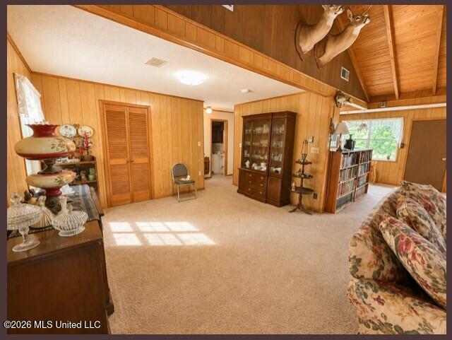979 Snow Lake Drive Property Photo 24