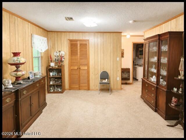 979 Snow Lake Drive Property Photo 25
