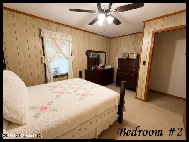 979 Snow Lake Drive Property Photo 37