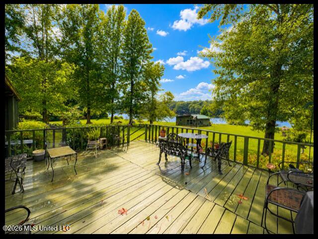 979 Snow Lake Drive Property Photo 42