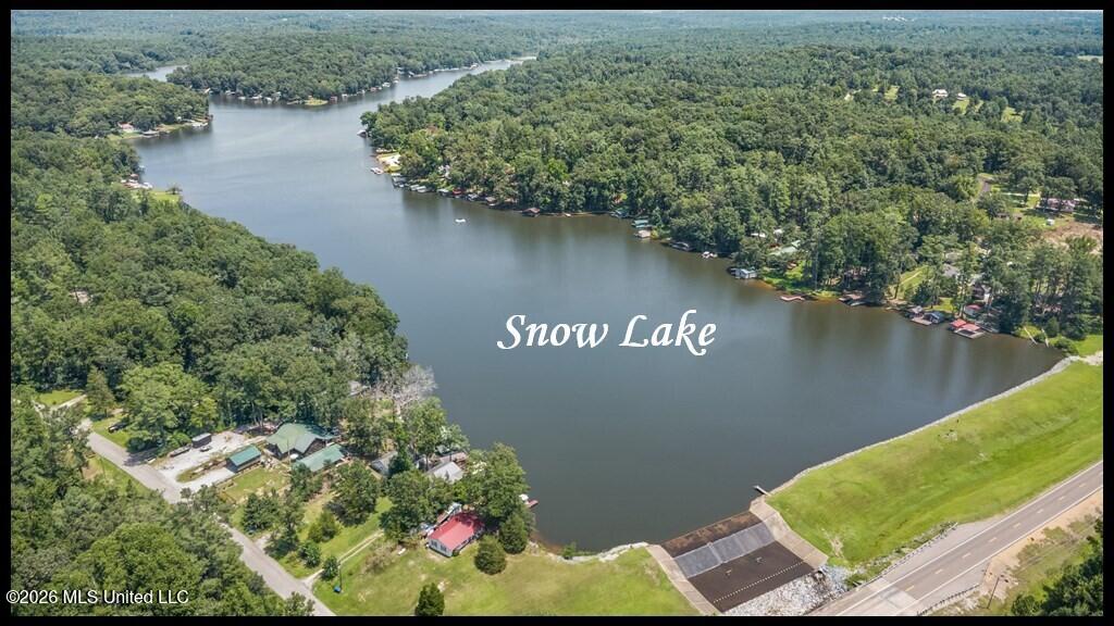 979 Snow Lake Drive Property Photo 58