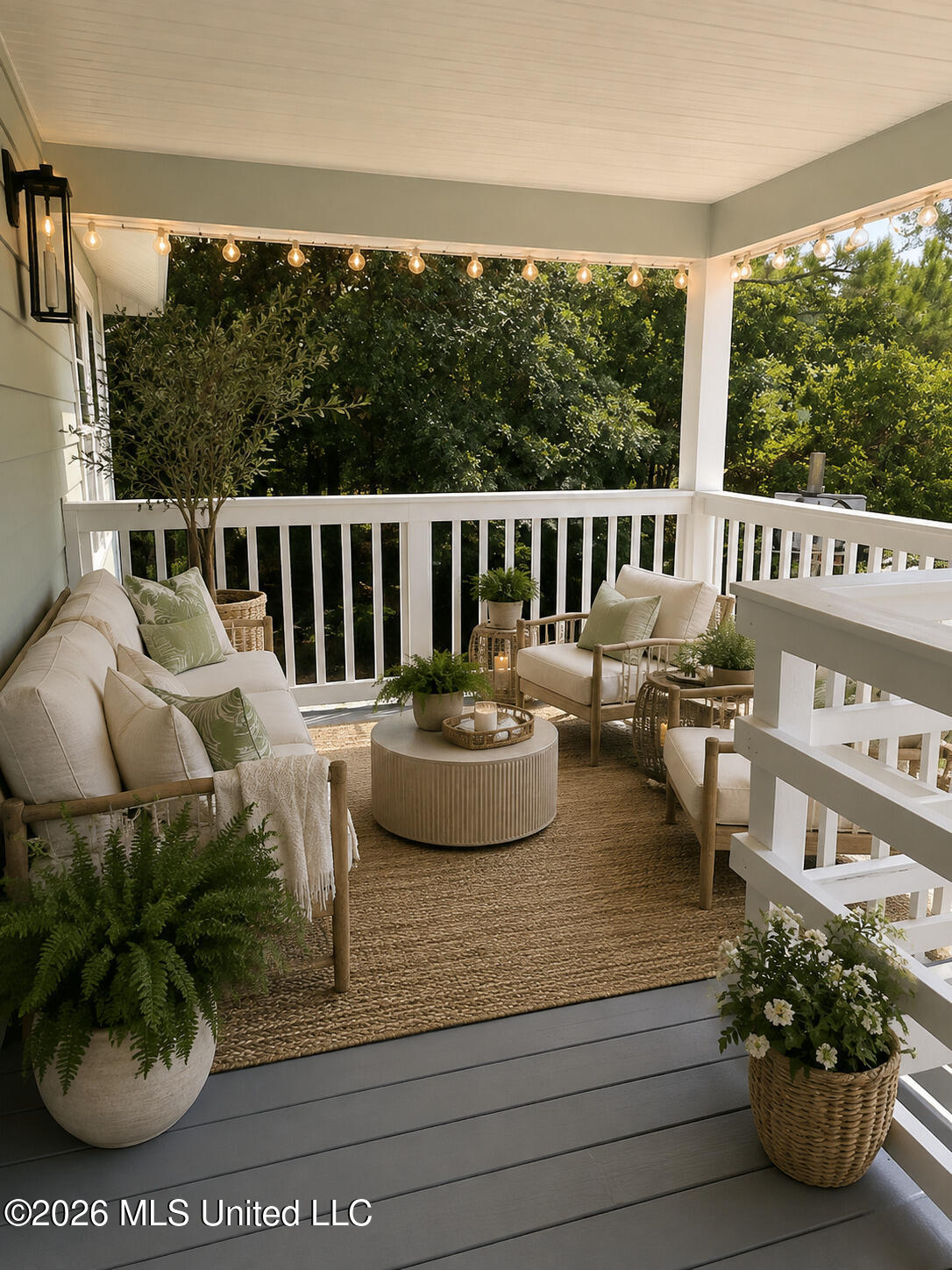 113 Forest Street Property Photo 4