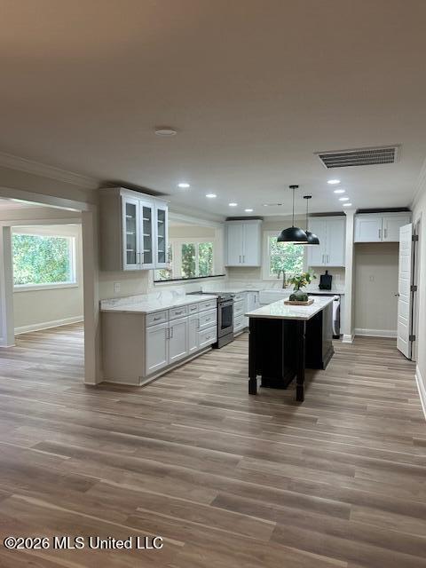 113 Forest Street Property Photo 8