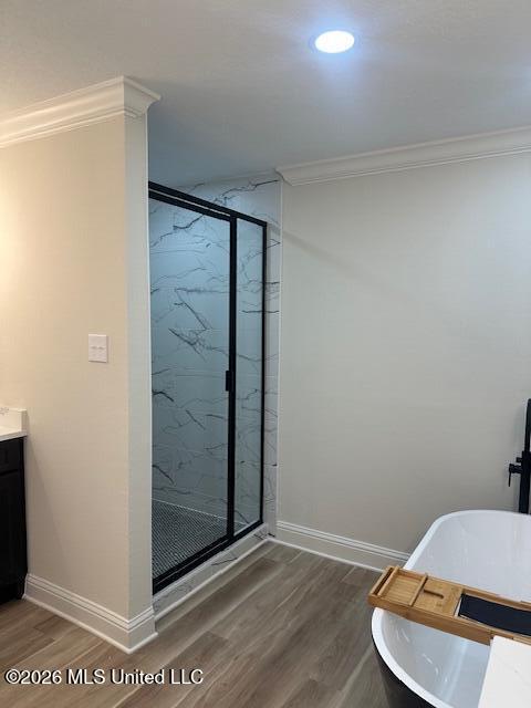 113 Forest Street Property Photo 15