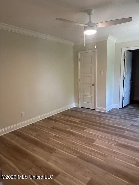 113 Forest Street Property Photo 16