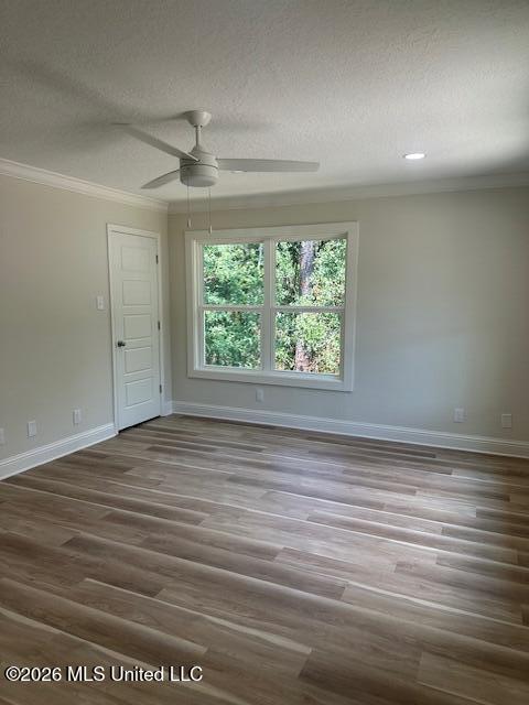 113 Forest Street Property Photo 19