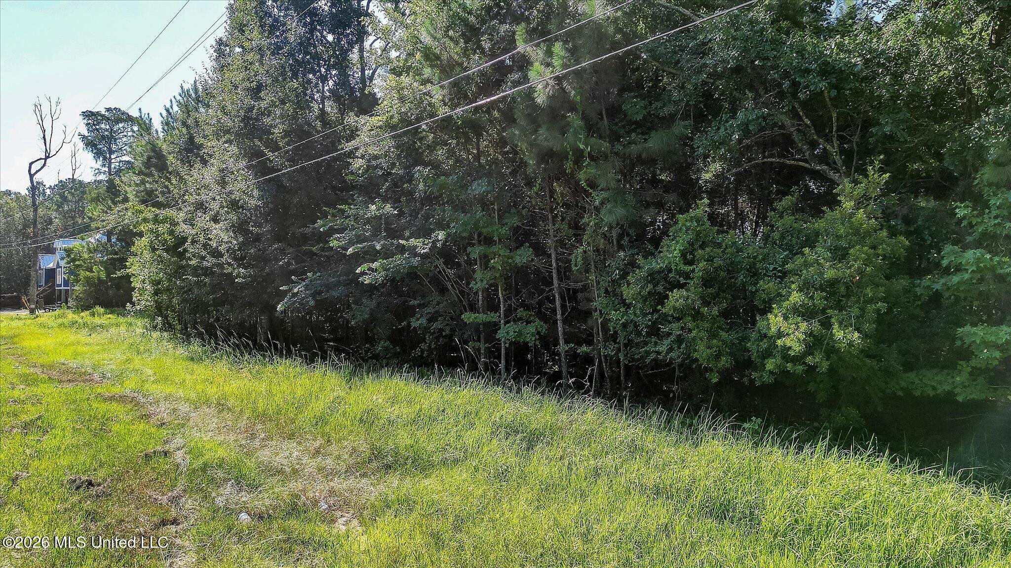 12209 Hickman Road Property Photo 6