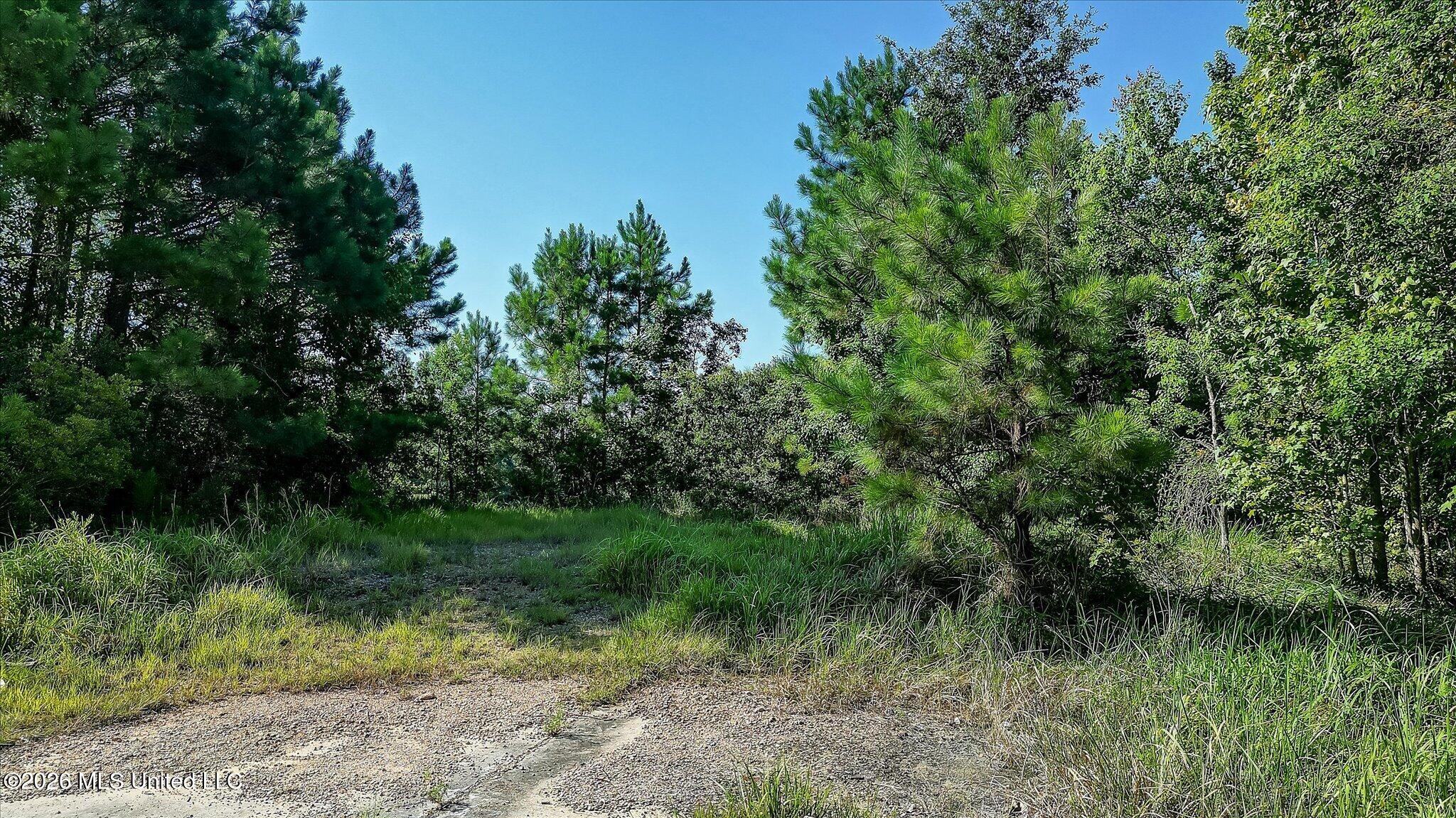 12209 Hickman Road Property Photo 8