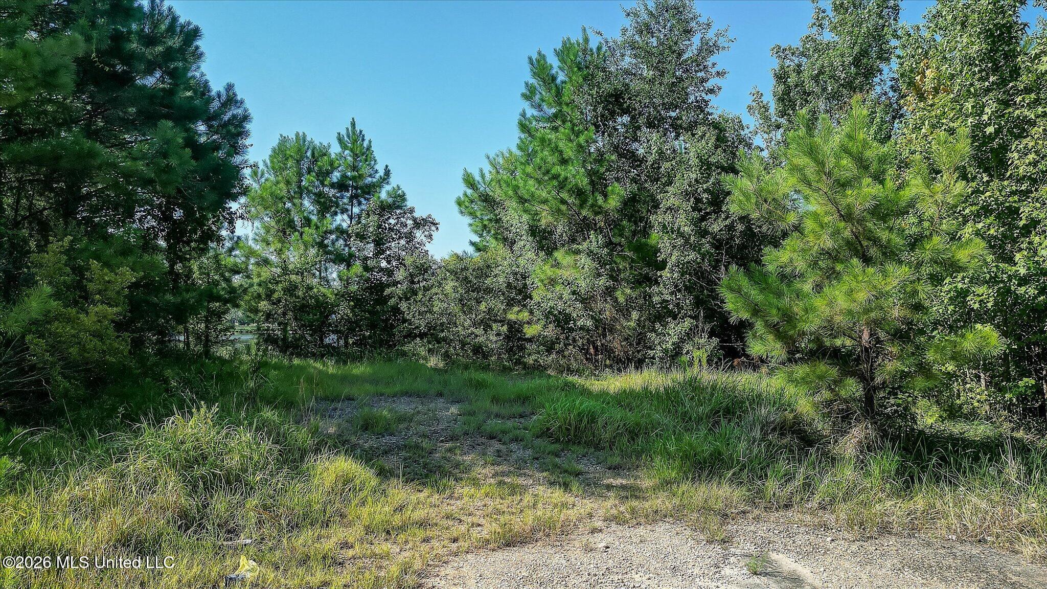 12209 Hickman Road Property Photo 11