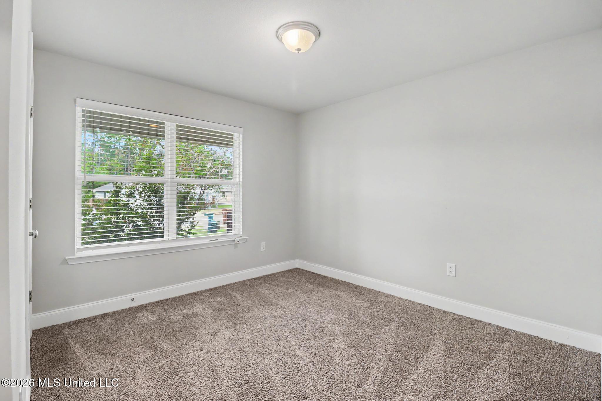 10212 Willow Leaf Drive Property Photo 19