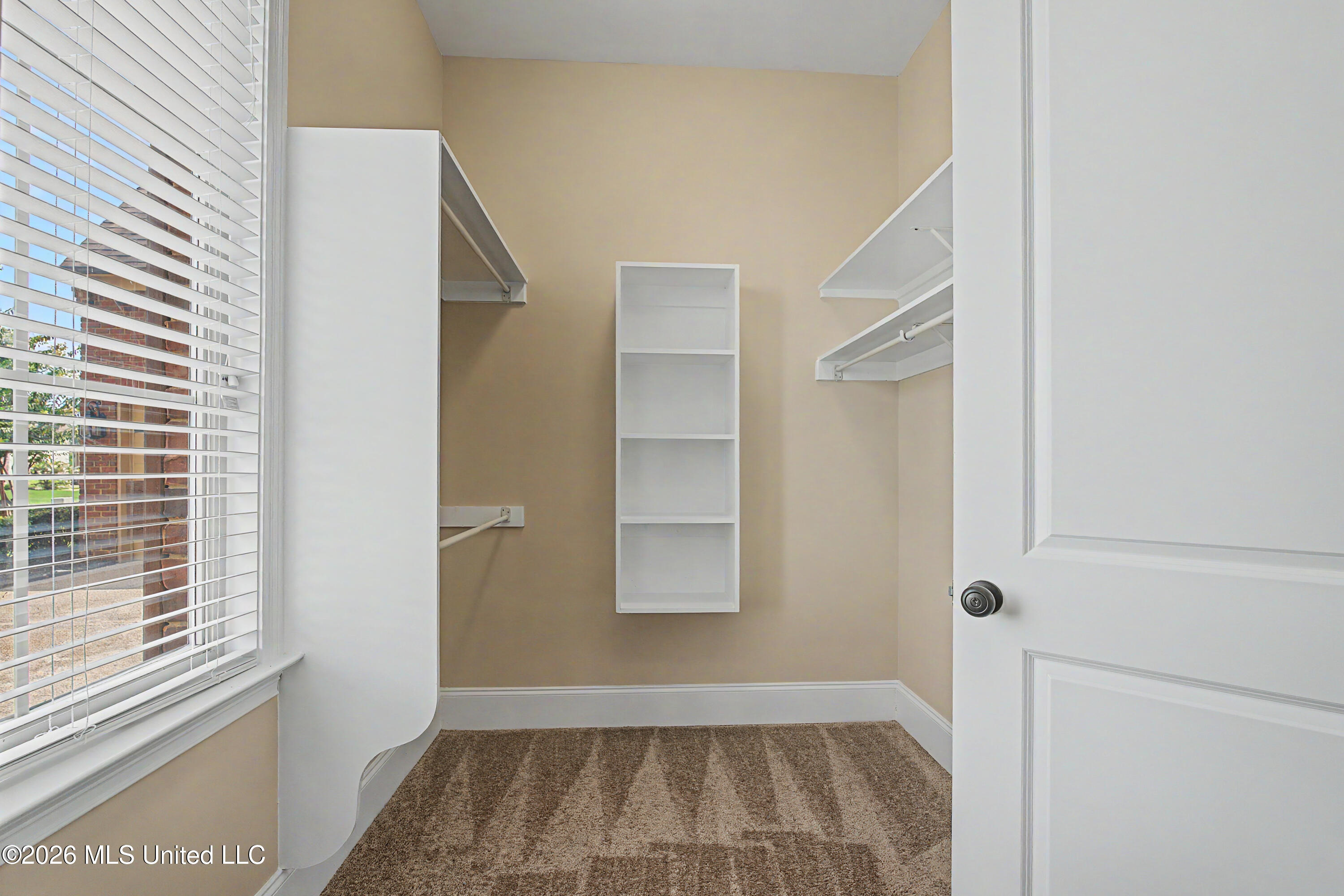 4117 Georgia Place Property Photo 31