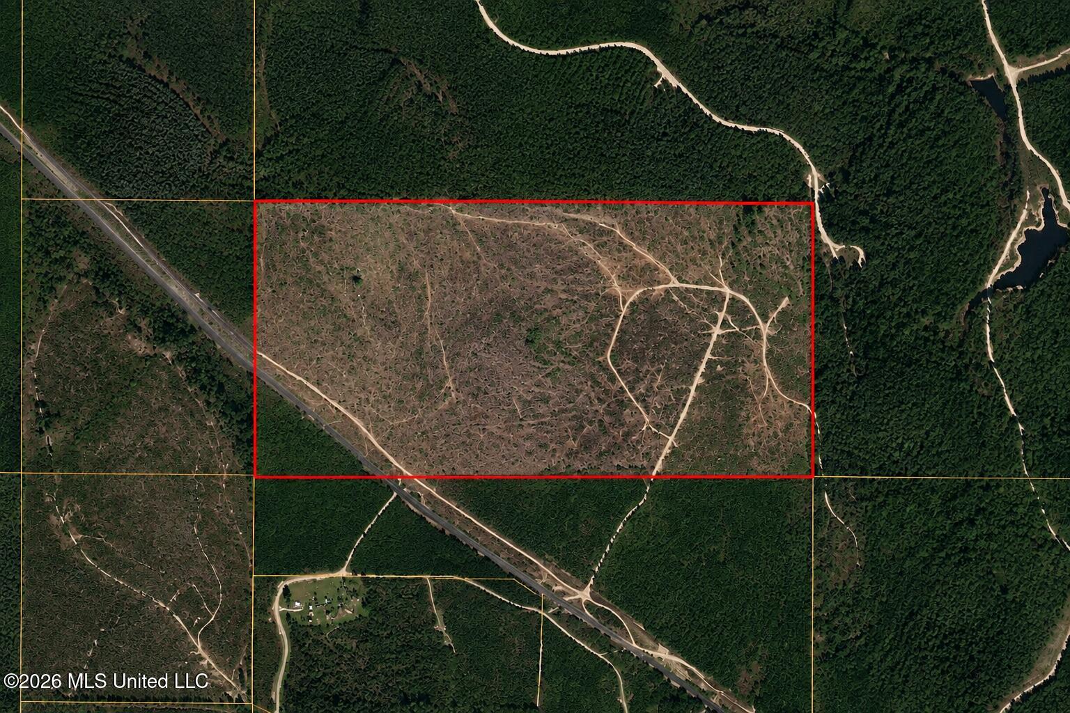 80 Acres Off Of Farmer Drive Property Photo 1