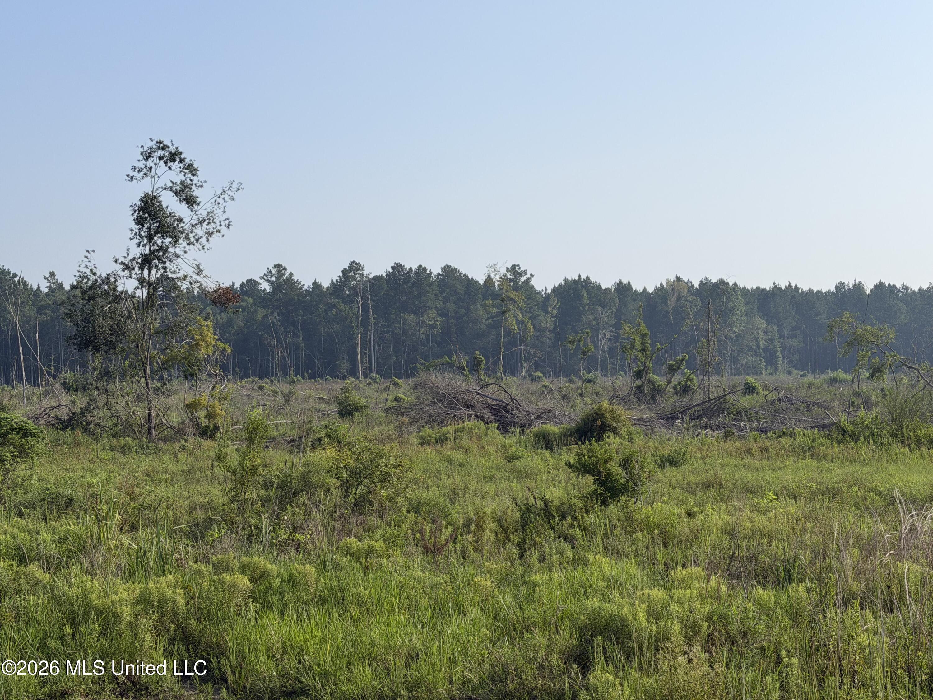 80 Acres Off Of Farmer Drive Property Photo 2