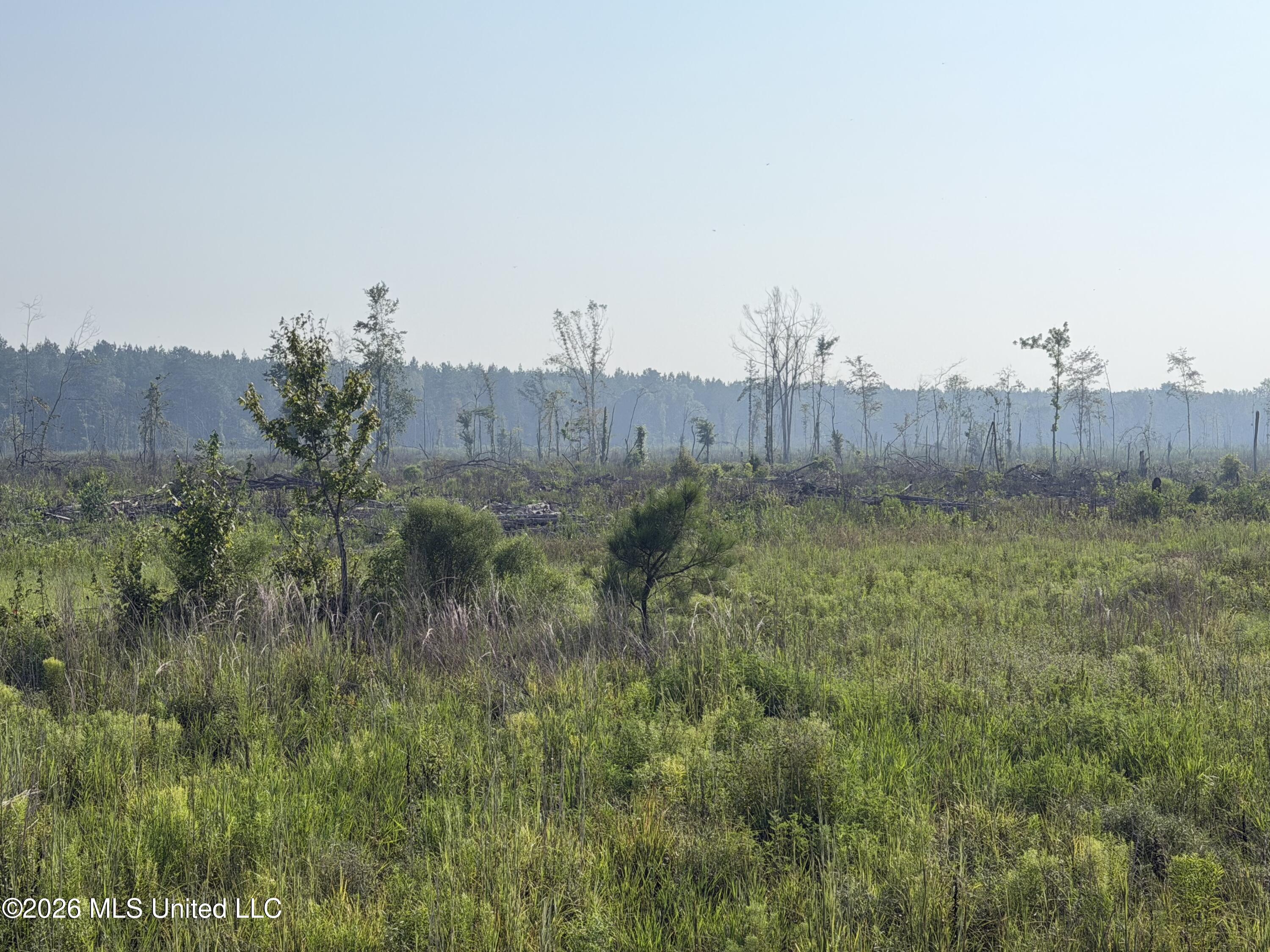 80 Acres Off Of Farmer Drive Property Photo 3