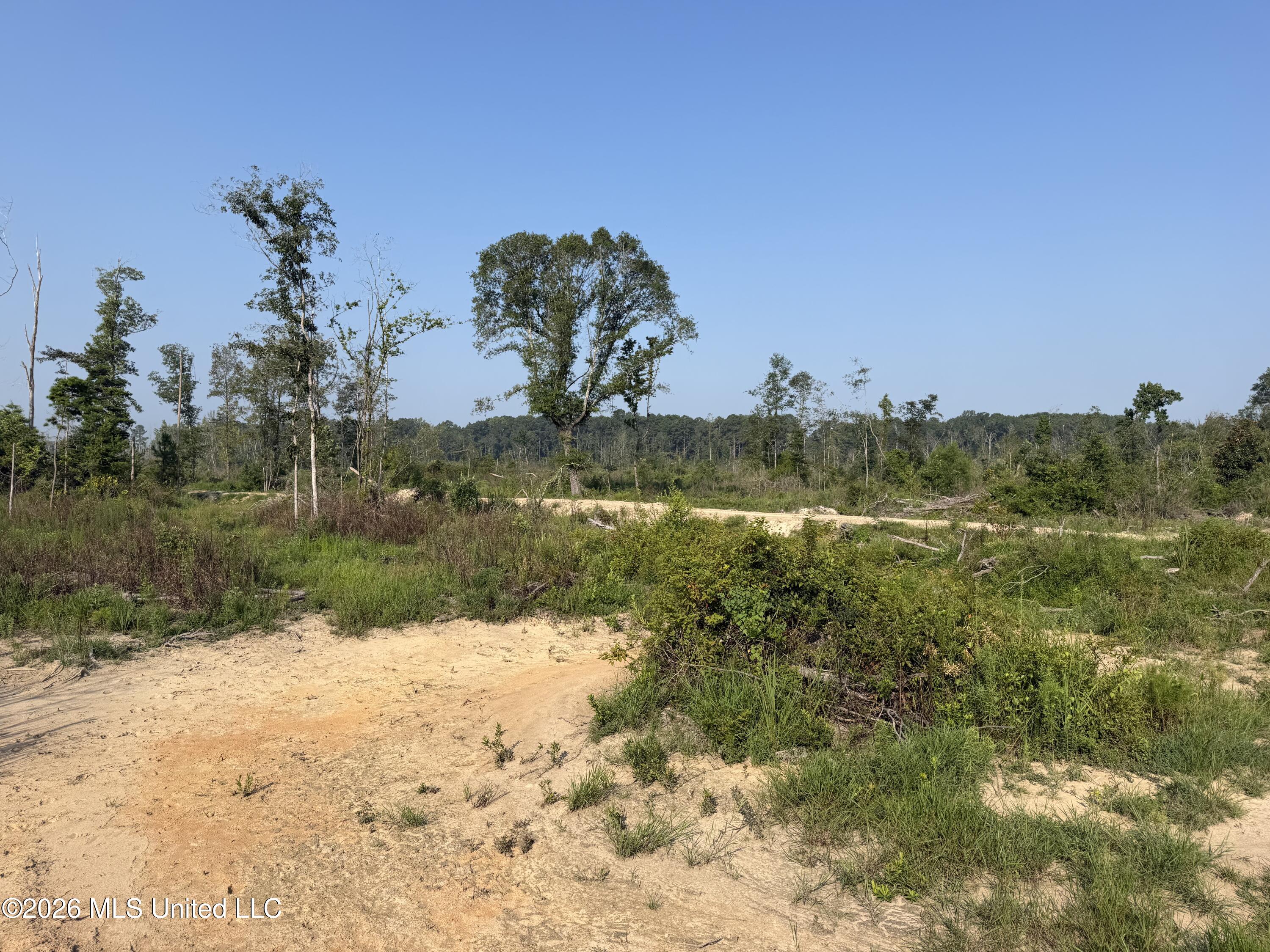 80 Acres Off Of Farmer Drive Property Photo 4