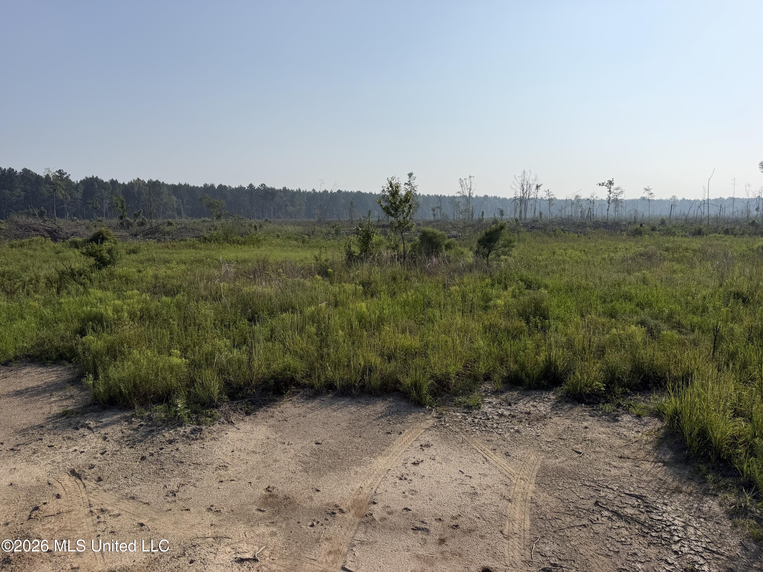 80 Acres Off Of Farmer Drive Property Photo 5