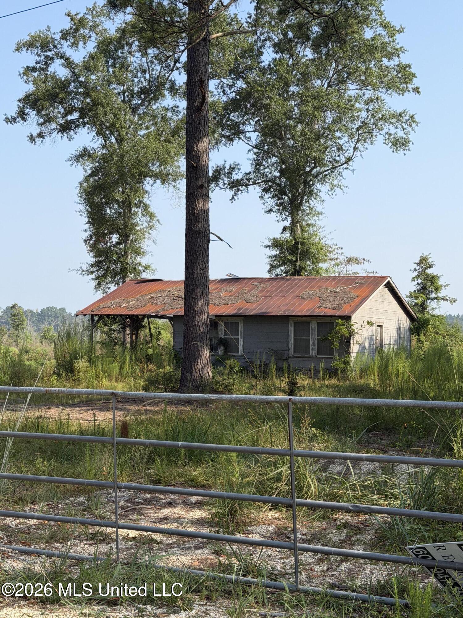 80 Acres Off Of Farmer Drive Property Photo 6