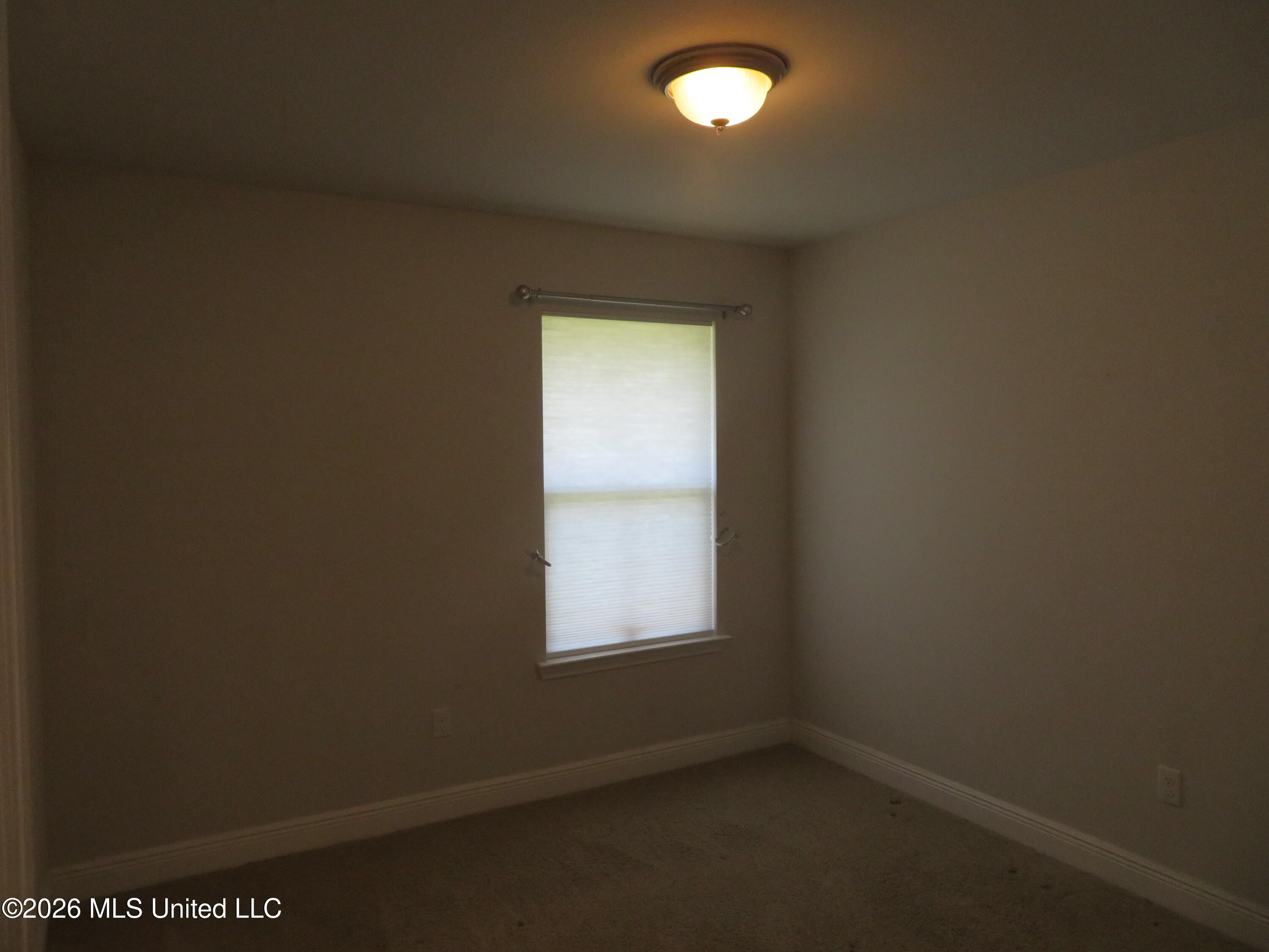 18172 Tiffany Renee Drive Property Photo 13