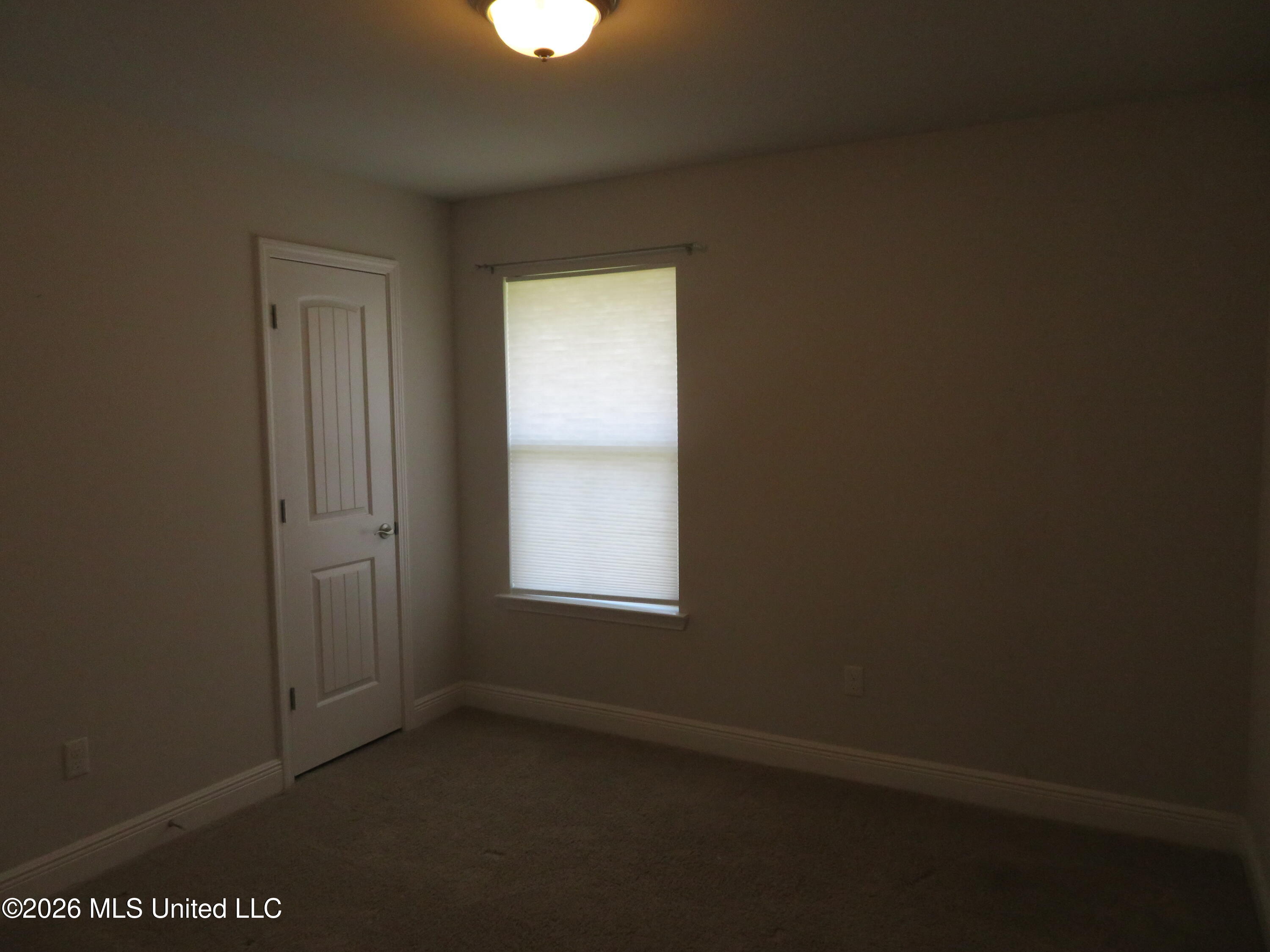18172 Tiffany Renee Drive Property Photo 14