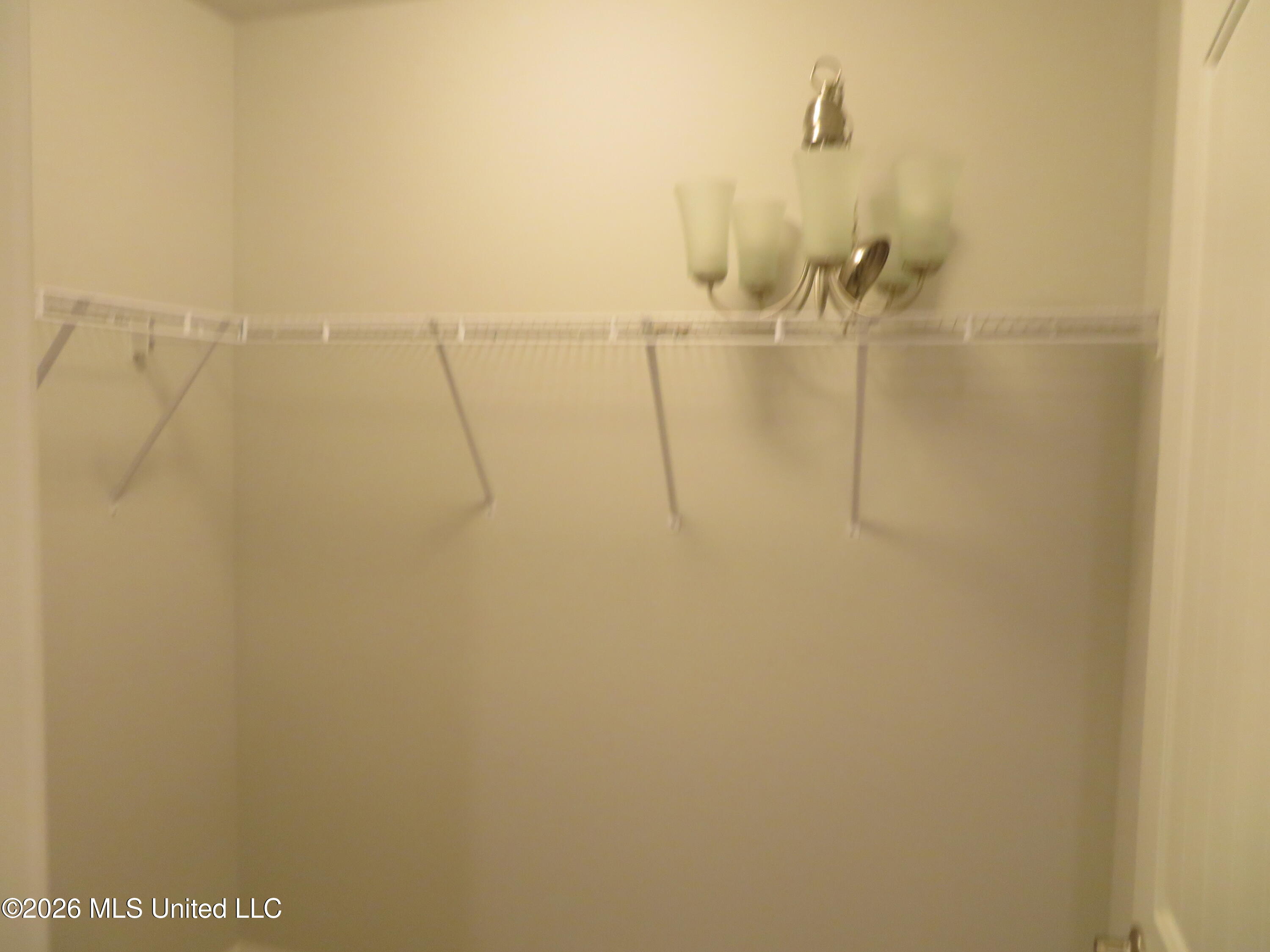 18172 Tiffany Renee Drive Property Photo 17