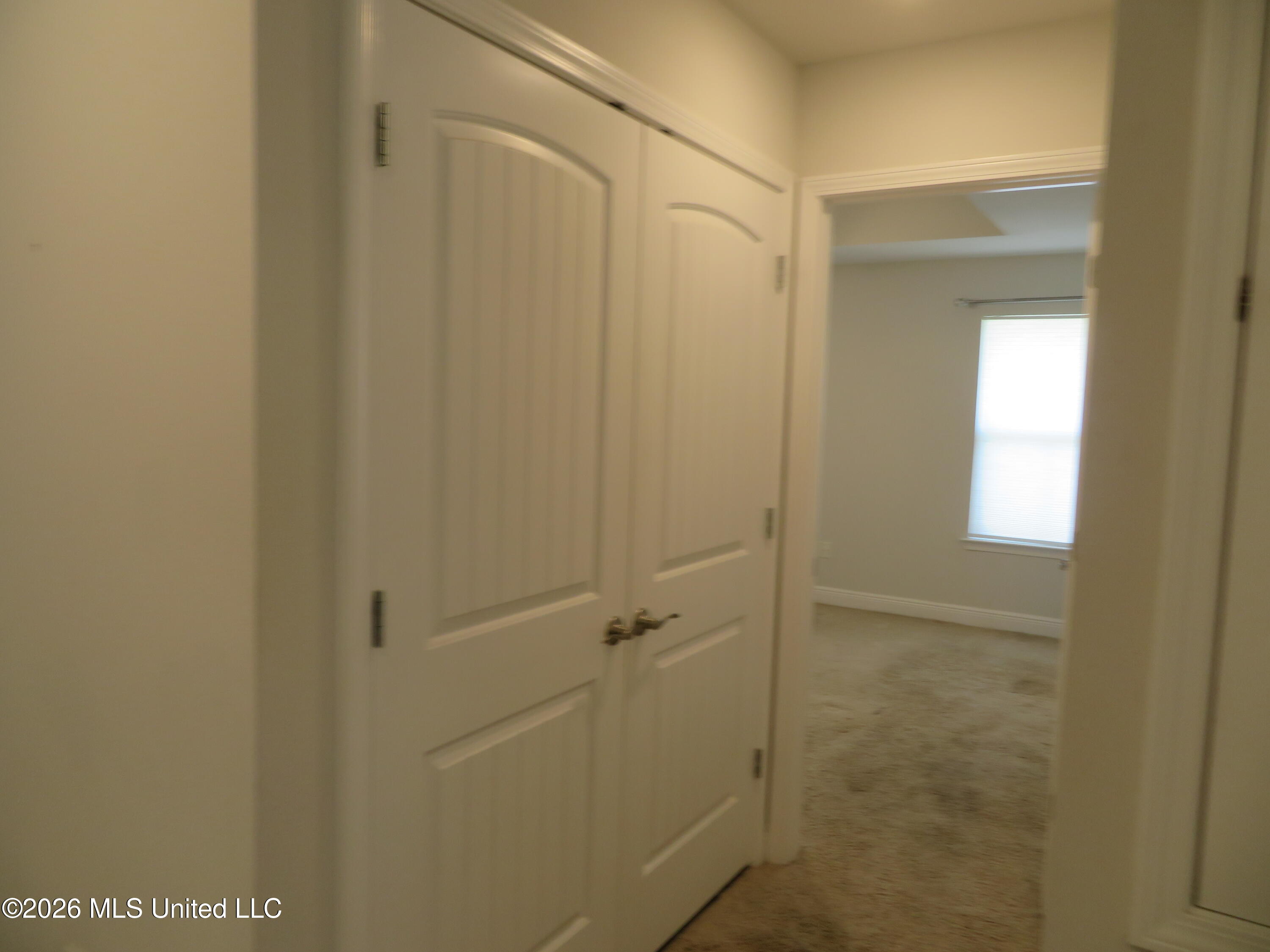 18172 Tiffany Renee Drive Property Photo 18