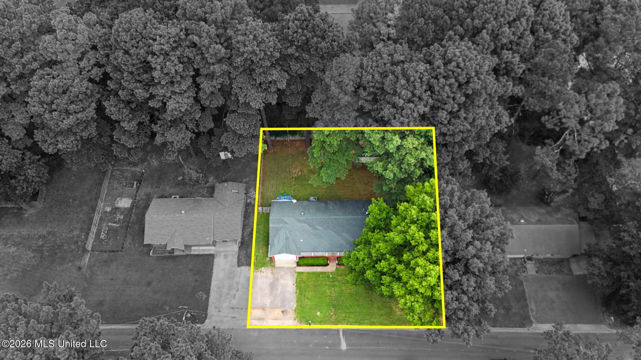 101 Beech Court Property Photo 38