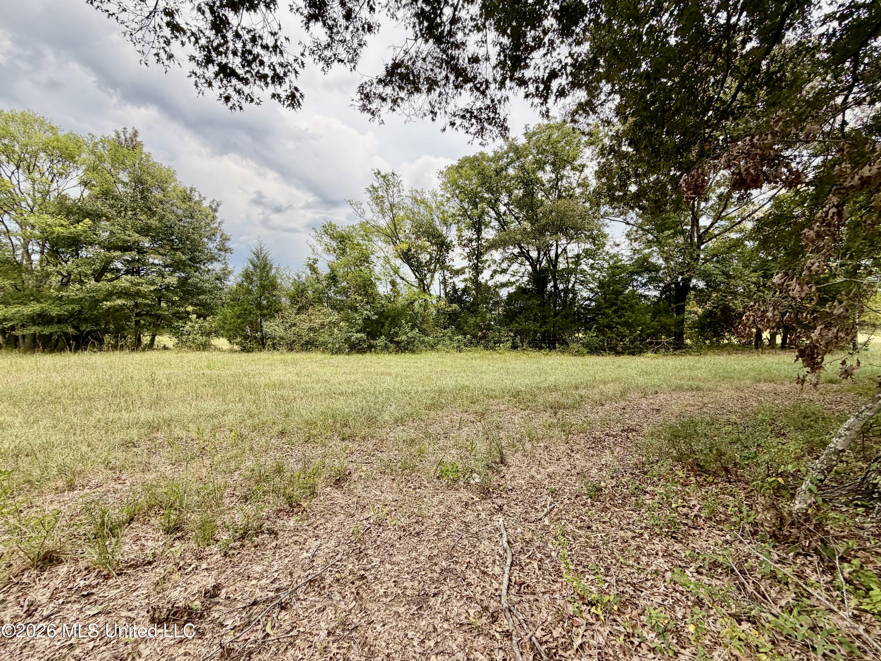 1029 North N Ratliff Road Property Photo 2