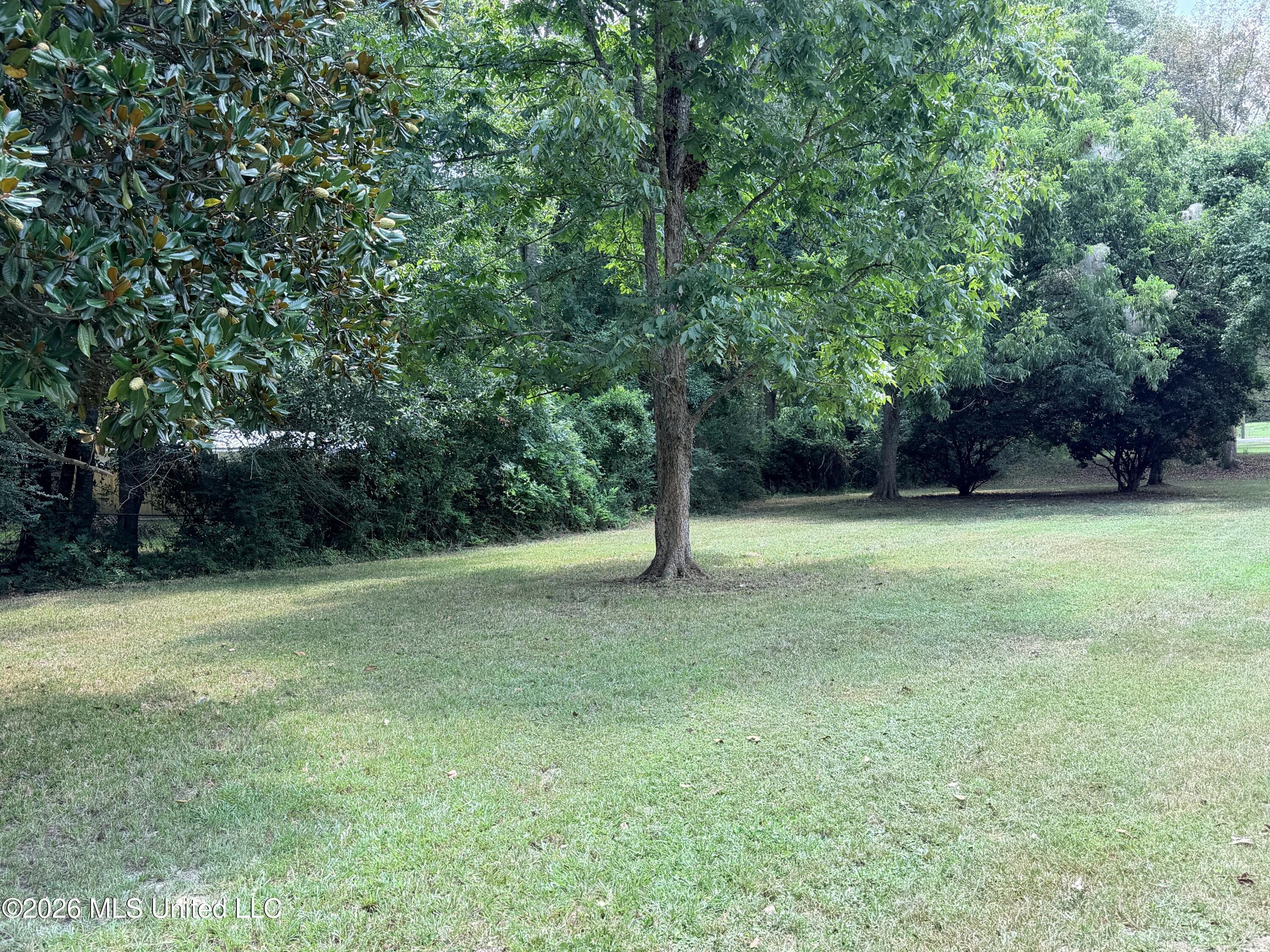 809 W Camp Avenue Property Photo 4